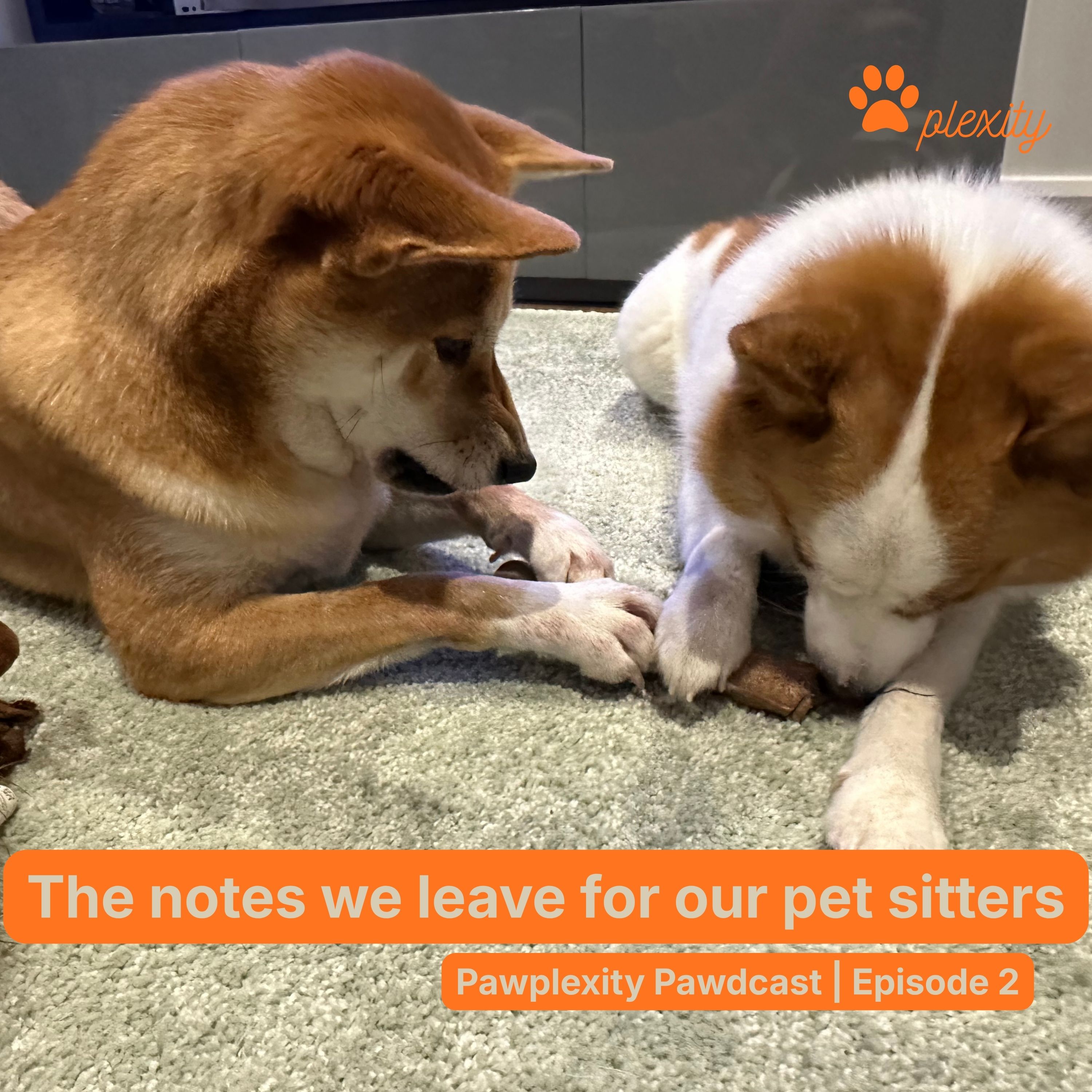 E2: The instructions we leave for our pet sitters episode artwork