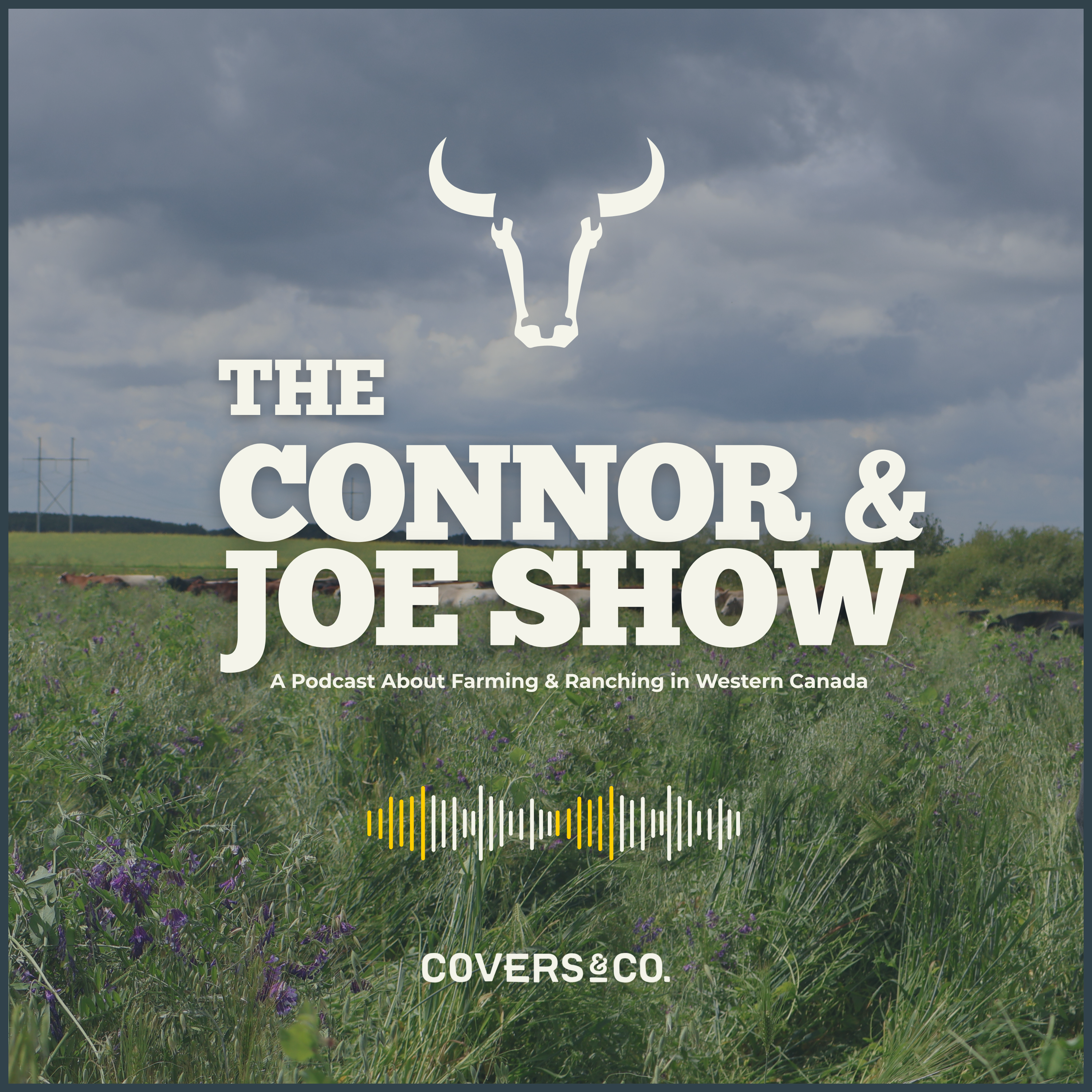The Connor & Joe Show podcast artwork
