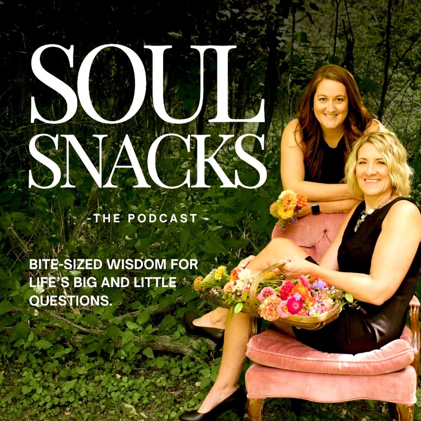 Podcast Image