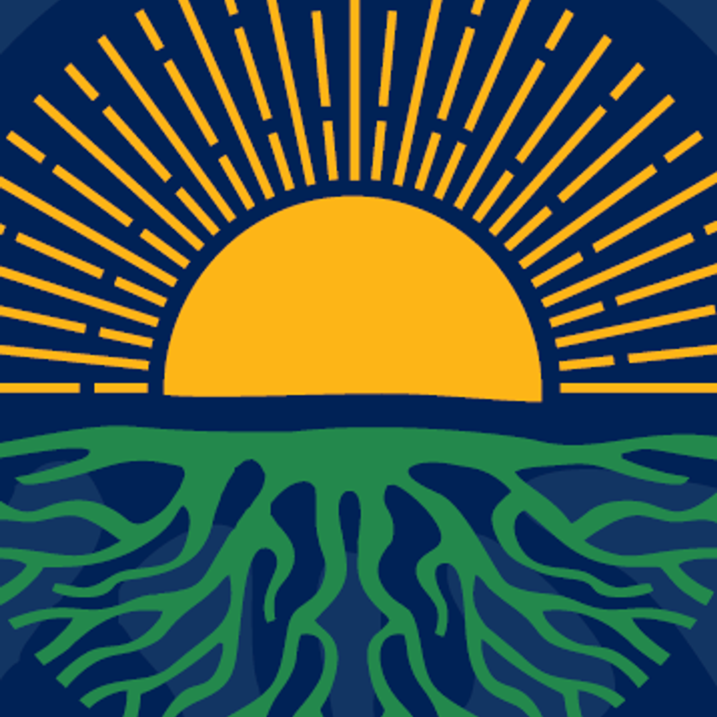 Roots in the Sunshine podcast artwork