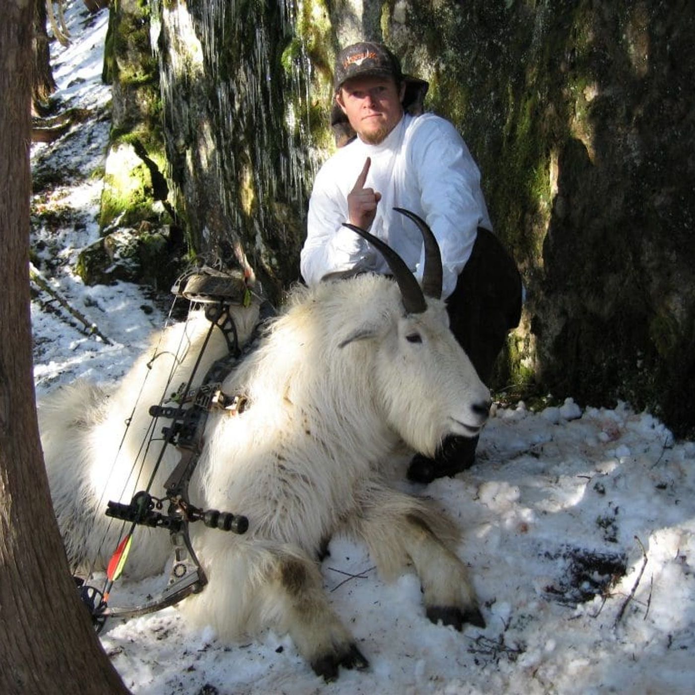 EPISODE 19: Shad Wheeler's P&Y World Record Mountain Goat episode artwork