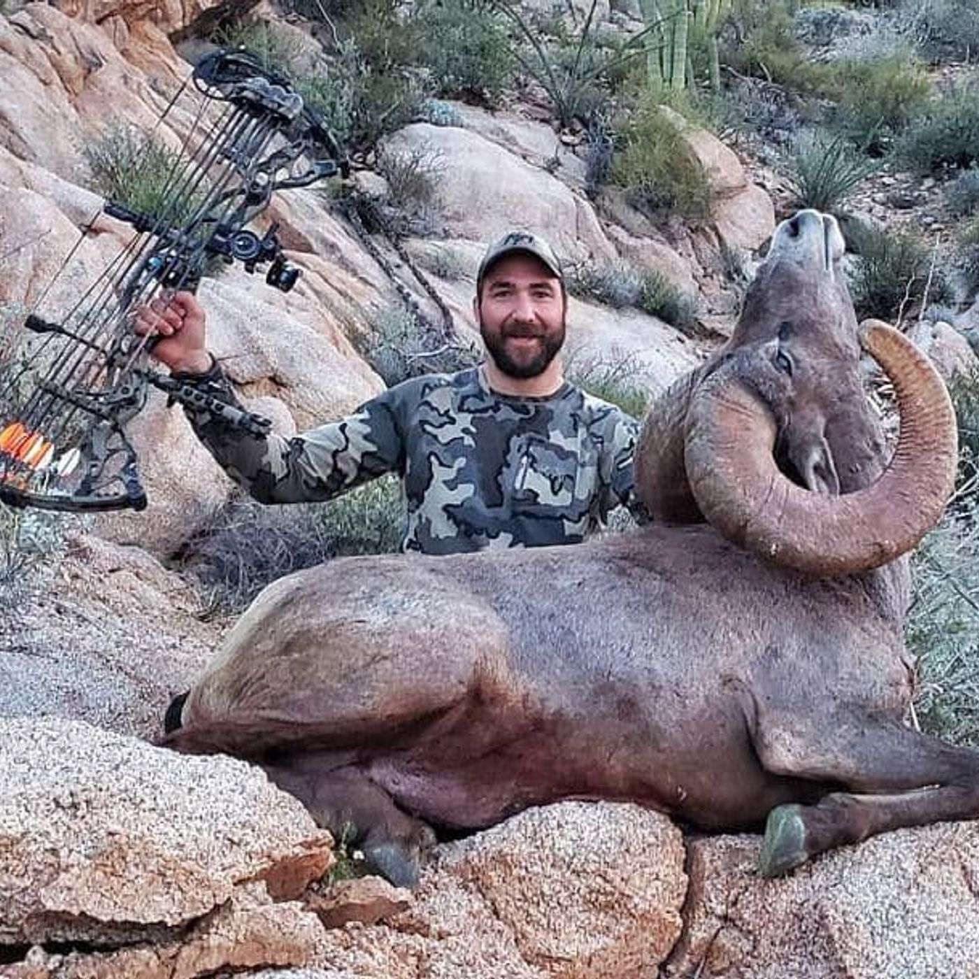 EPISODE 24: AJ Kissel's Archery Desert Bighorn Sheep Hunt in Sonora, Mexico episode artwork