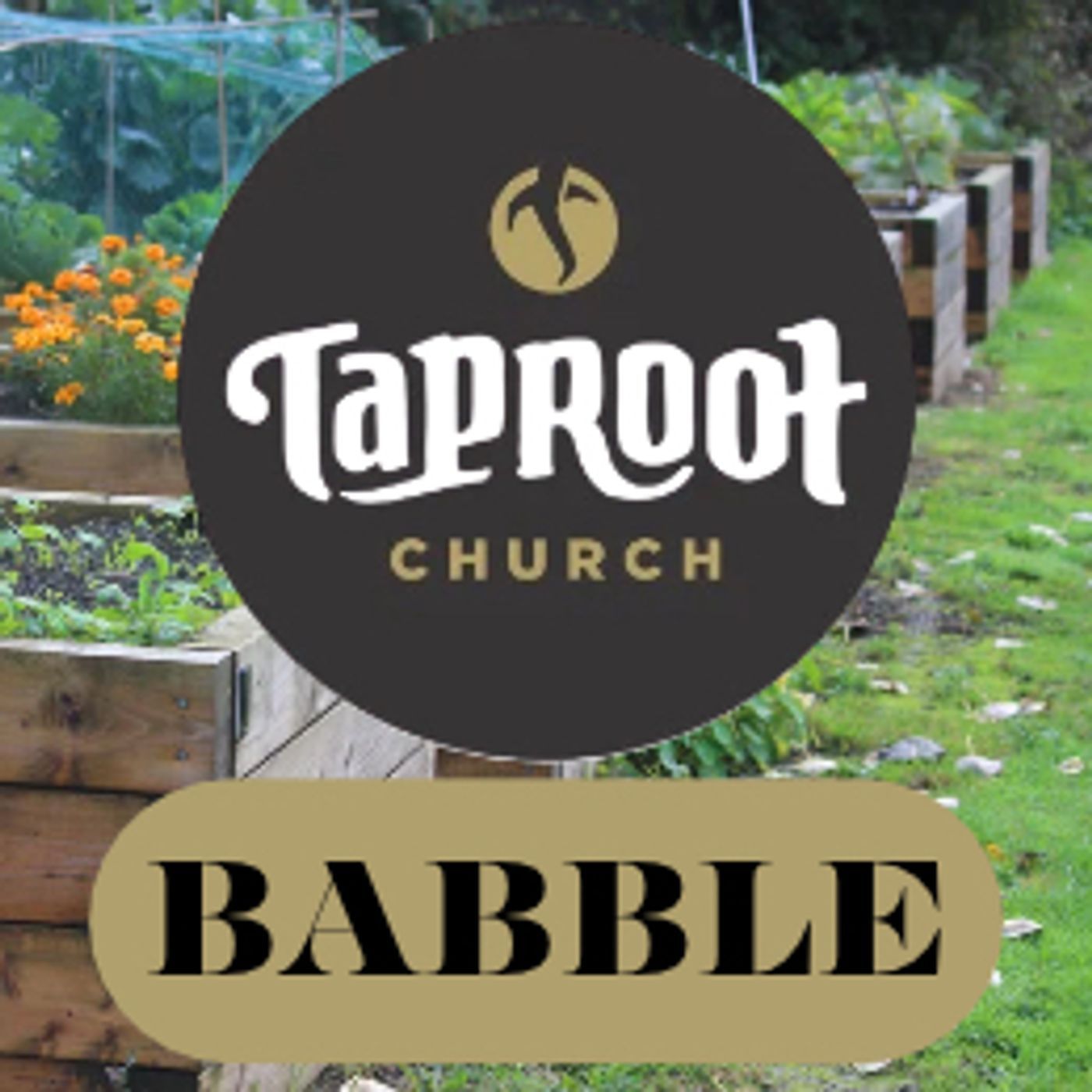 Taproot Church: Babble podcast artwork