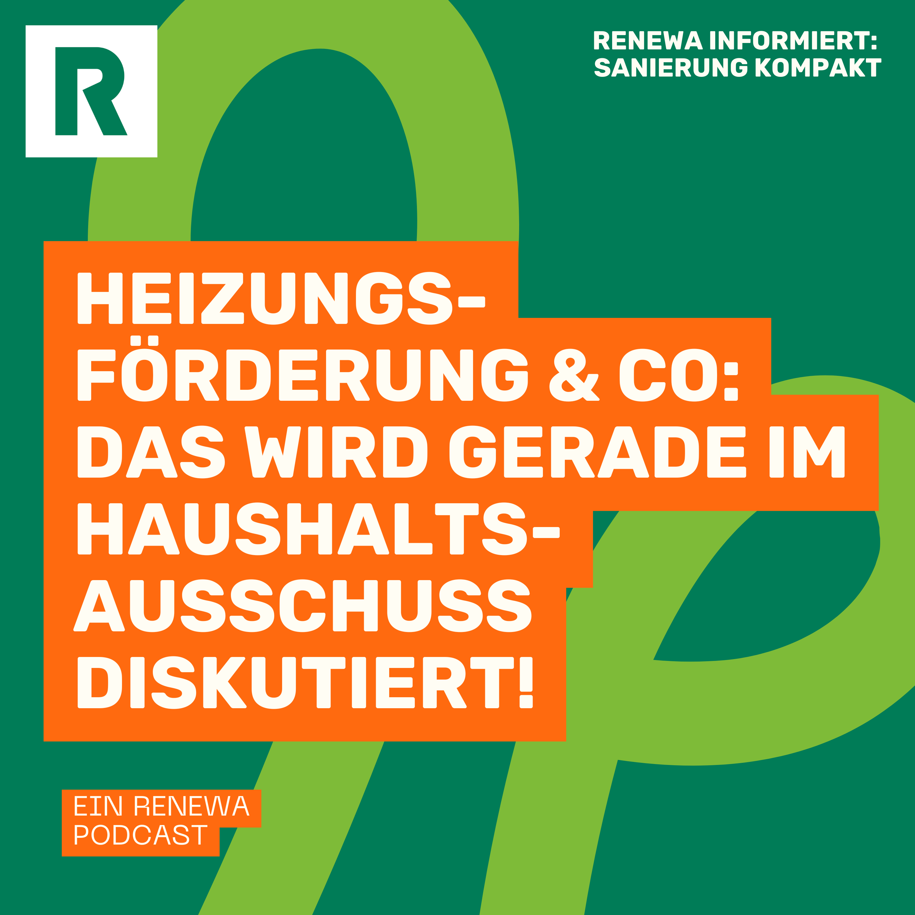 Heizungsförderung & Co. – Das wird gerade im Haushaltsausschuss diskutiert episode artwork