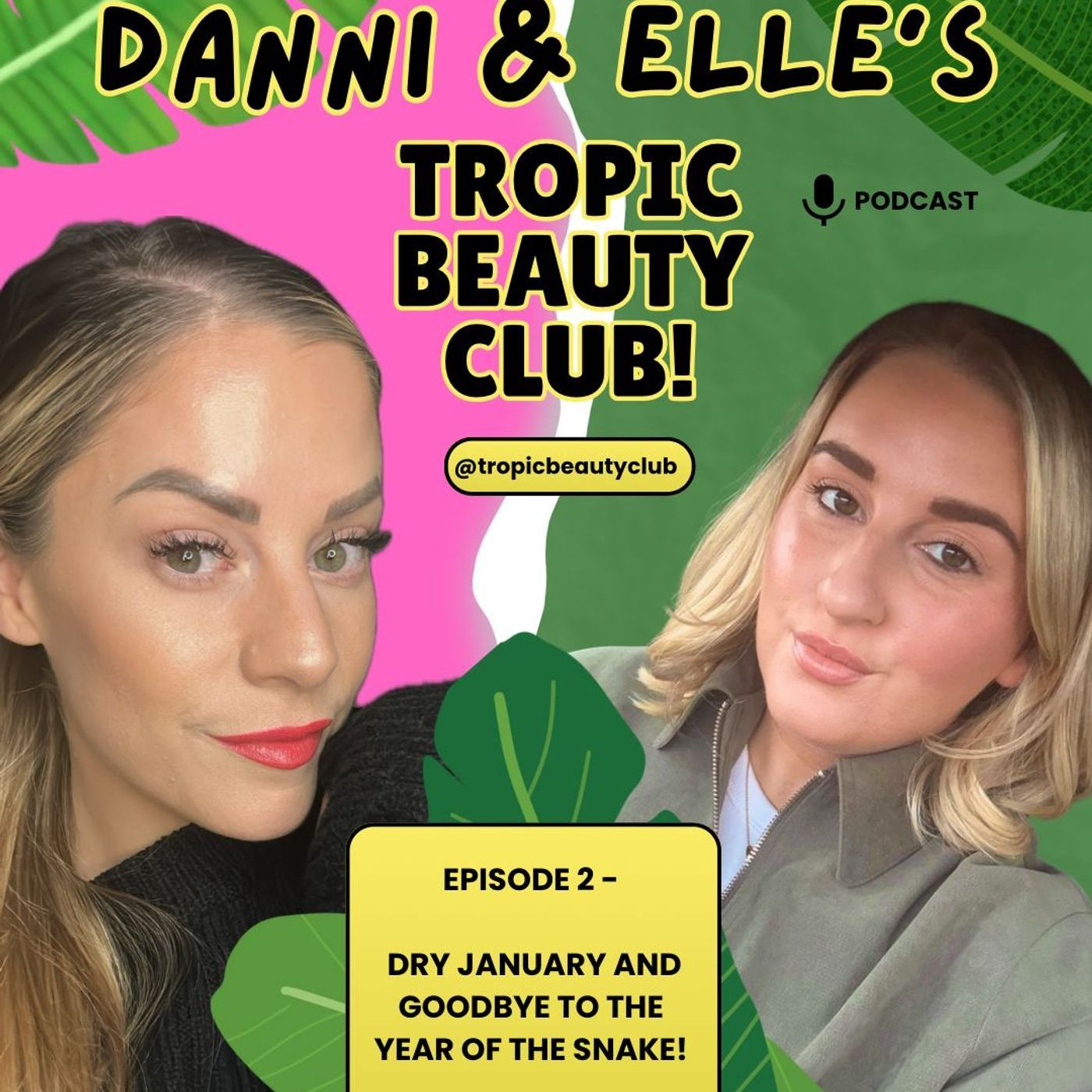 Ep2 - Dry January & Goodbye to The Year Of The Snake episode artwork