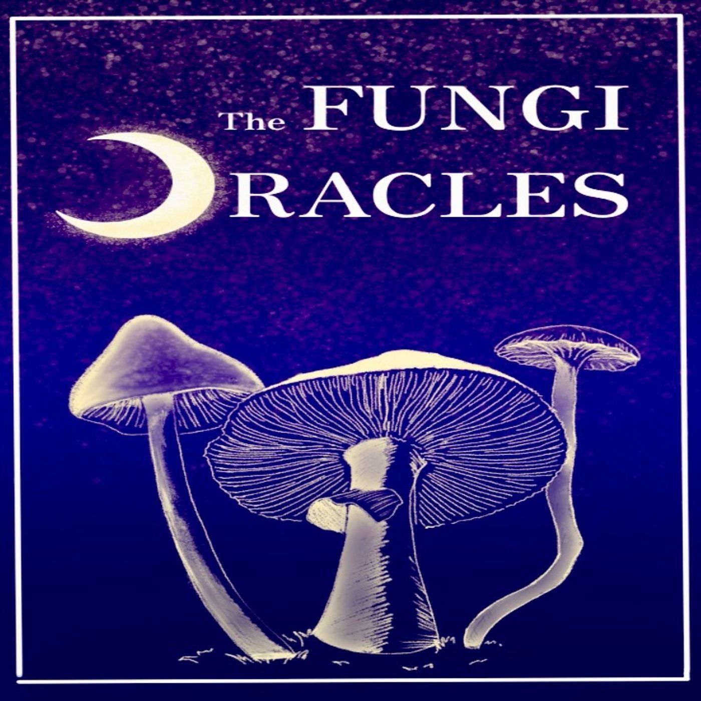 The Fungi Oracles