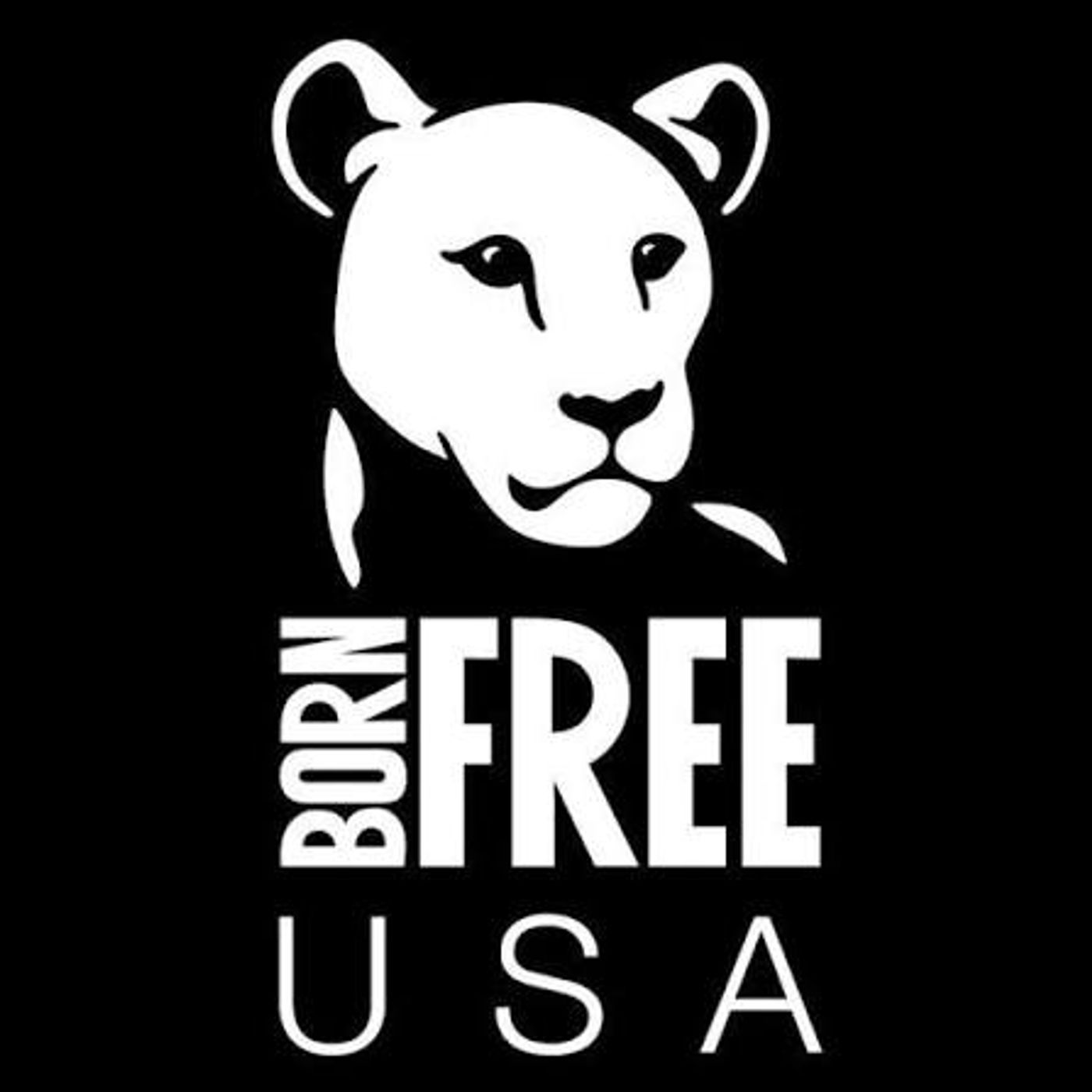 Voices Carry For Animals Podcast #540 - Born Free USA episode artwork