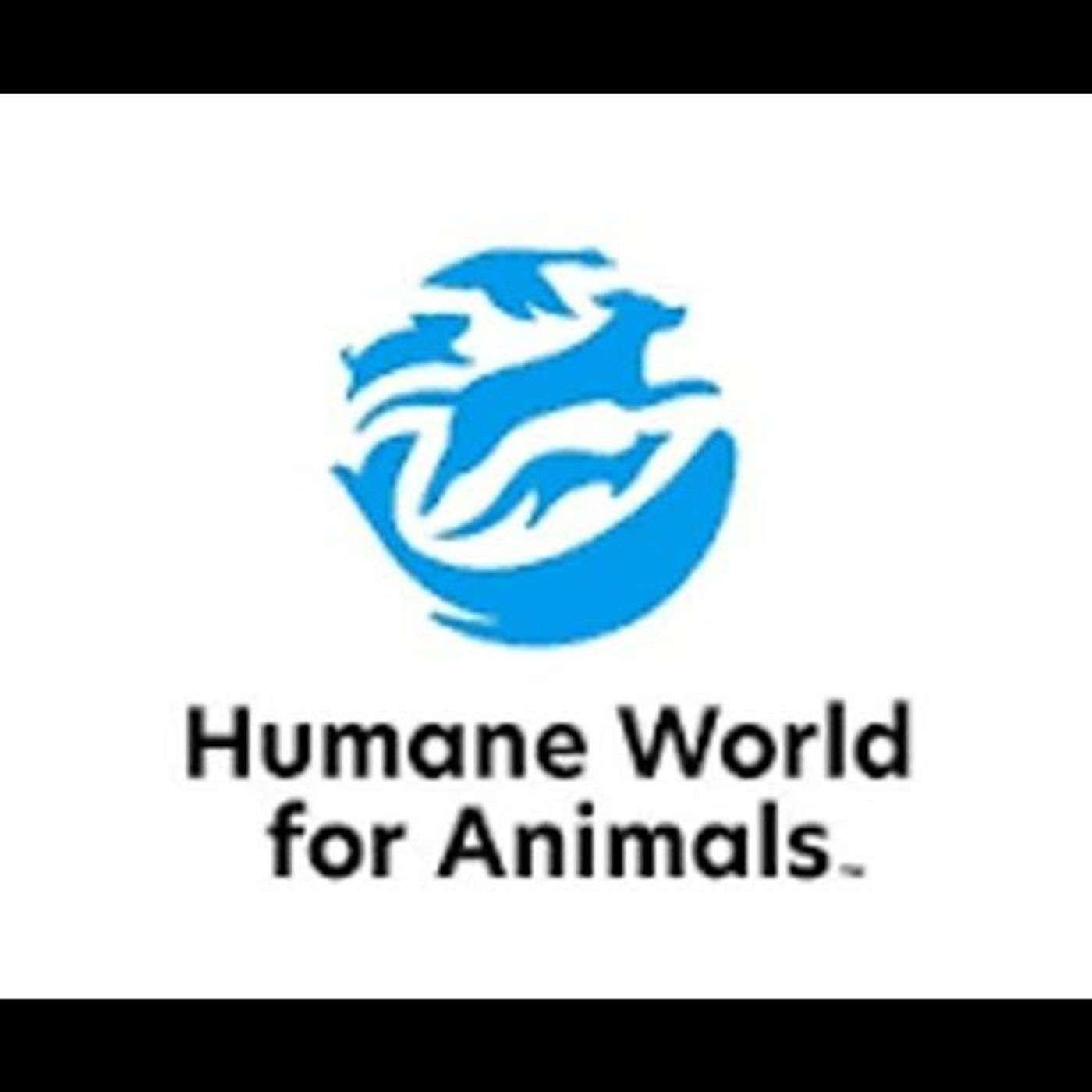 Voices Carry For Animals Podcast #536 – Humane World for Animals