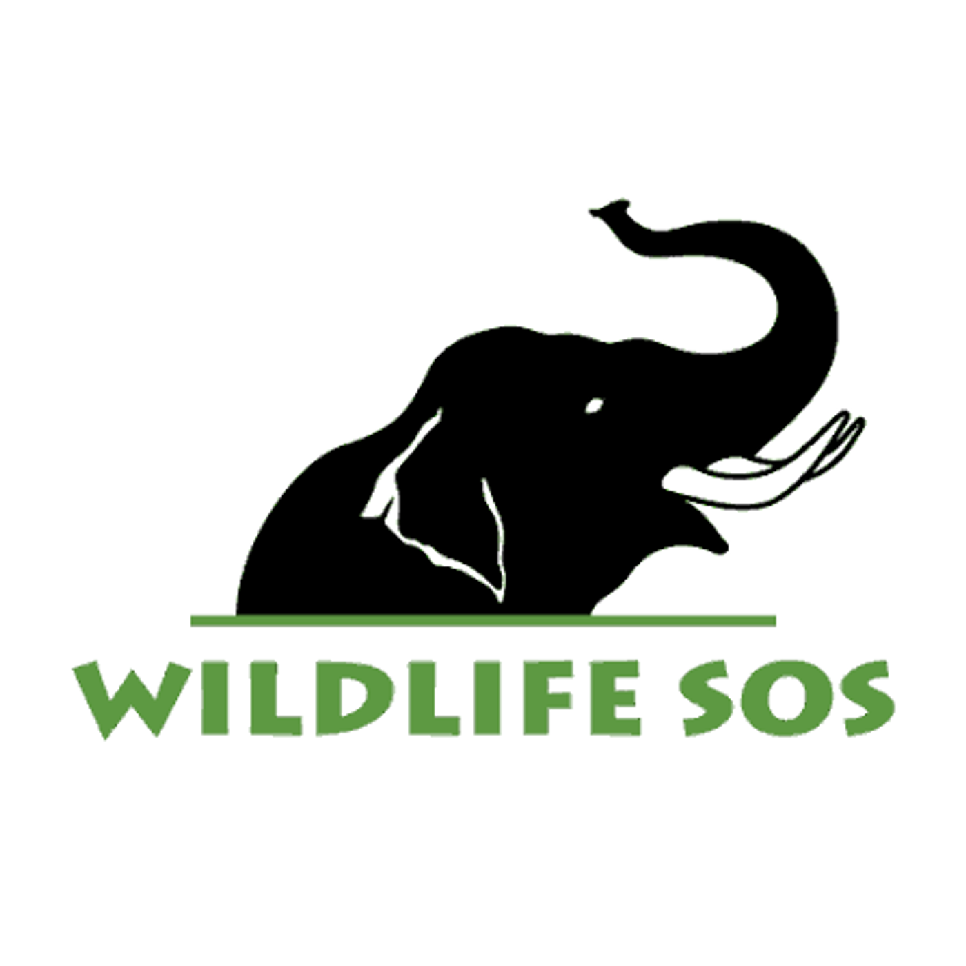 Voices Carry For Animals Podcast #534 - Wildlife SOS episode artwork