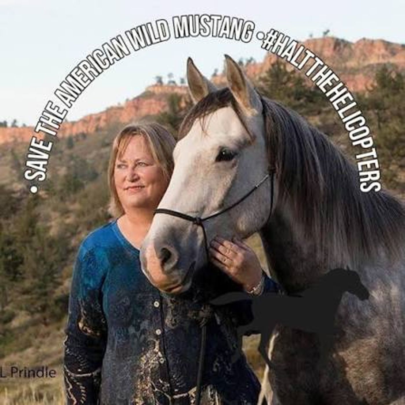 Voices Carry For Animals Podcast #541- Wild Hoofbeats episode artwork