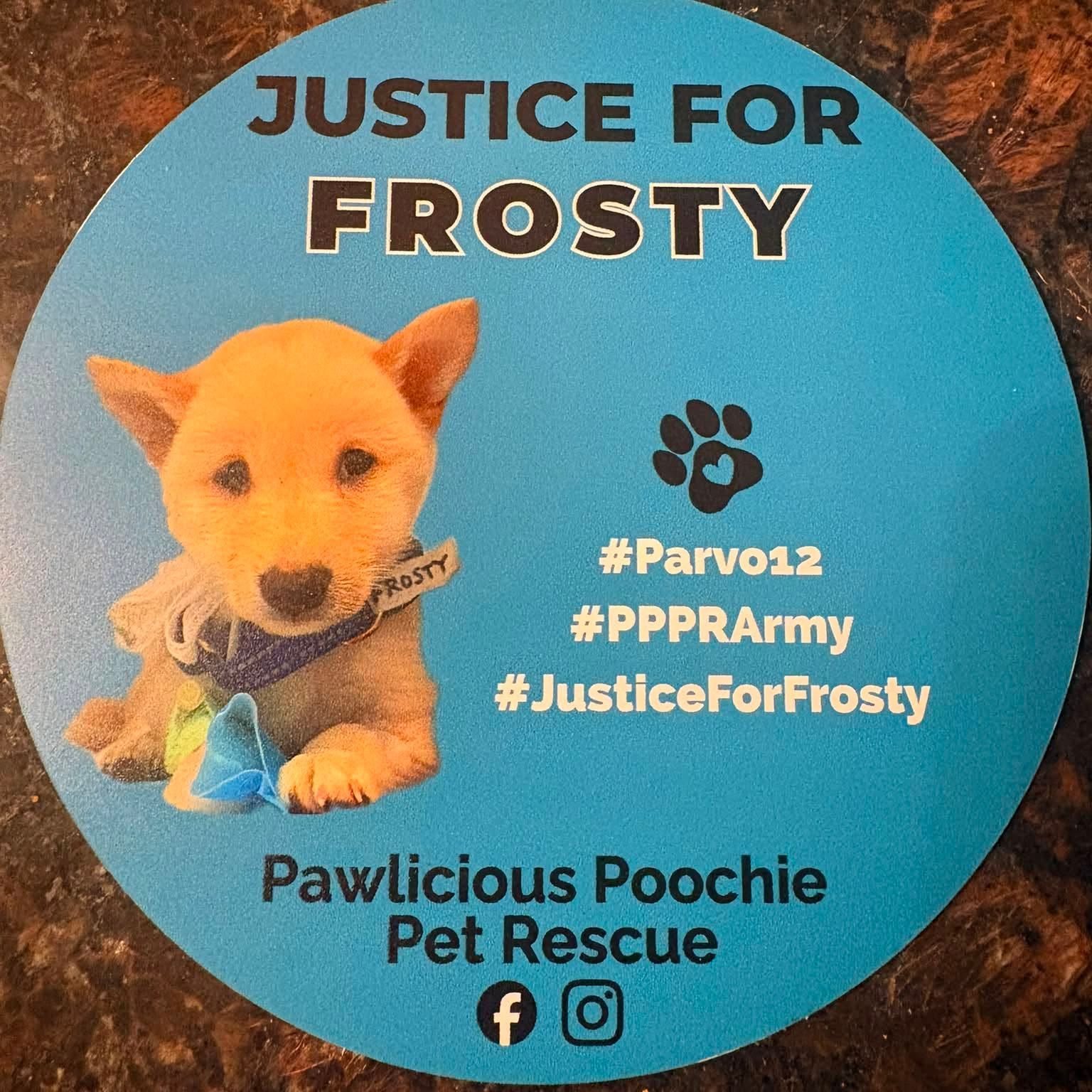 Voices Carry For Animals Podcast #538" -Pawlicious Poochie Pet Rescue