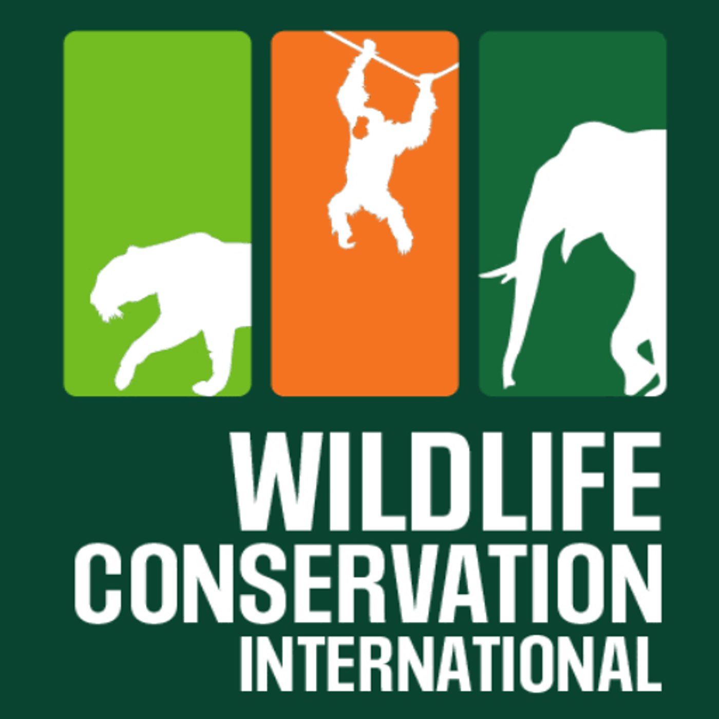 Voices Carry For Animals Podcast #533" - Wildlife Conservation International episode artwork