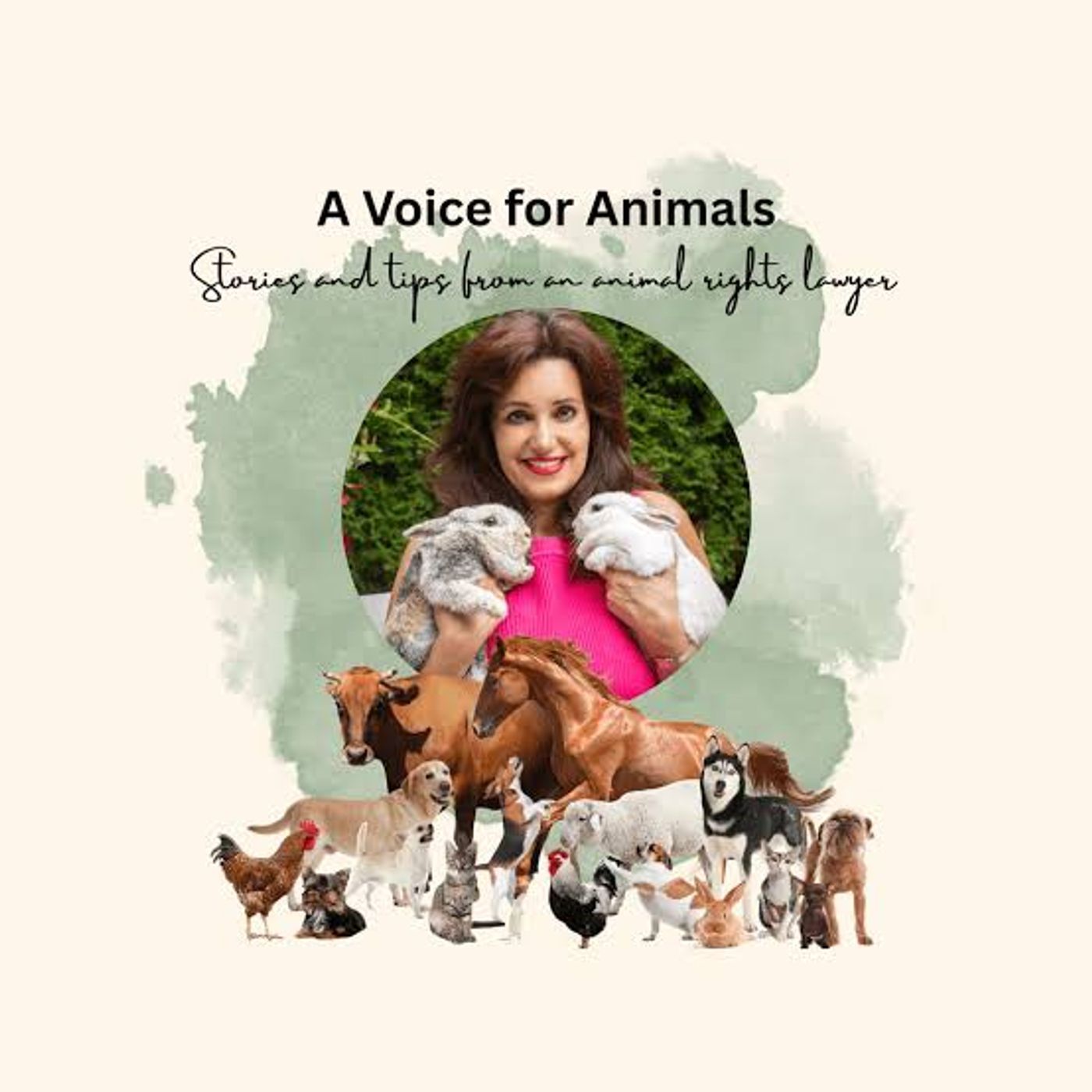Voices Carry For Animals Podcast #537 -  Centre for Animal Law Advocacy [CALA]