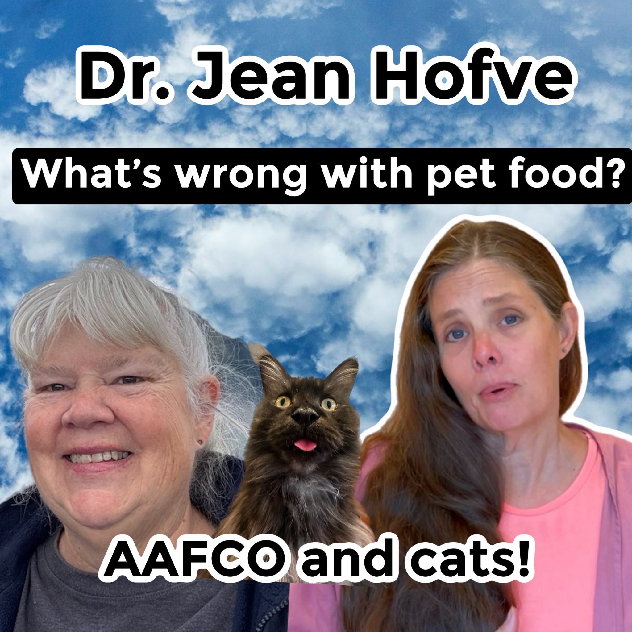 AAFCO, The Pet Food Institute and your pet! Podcast with Dr. Hofve episode artwork