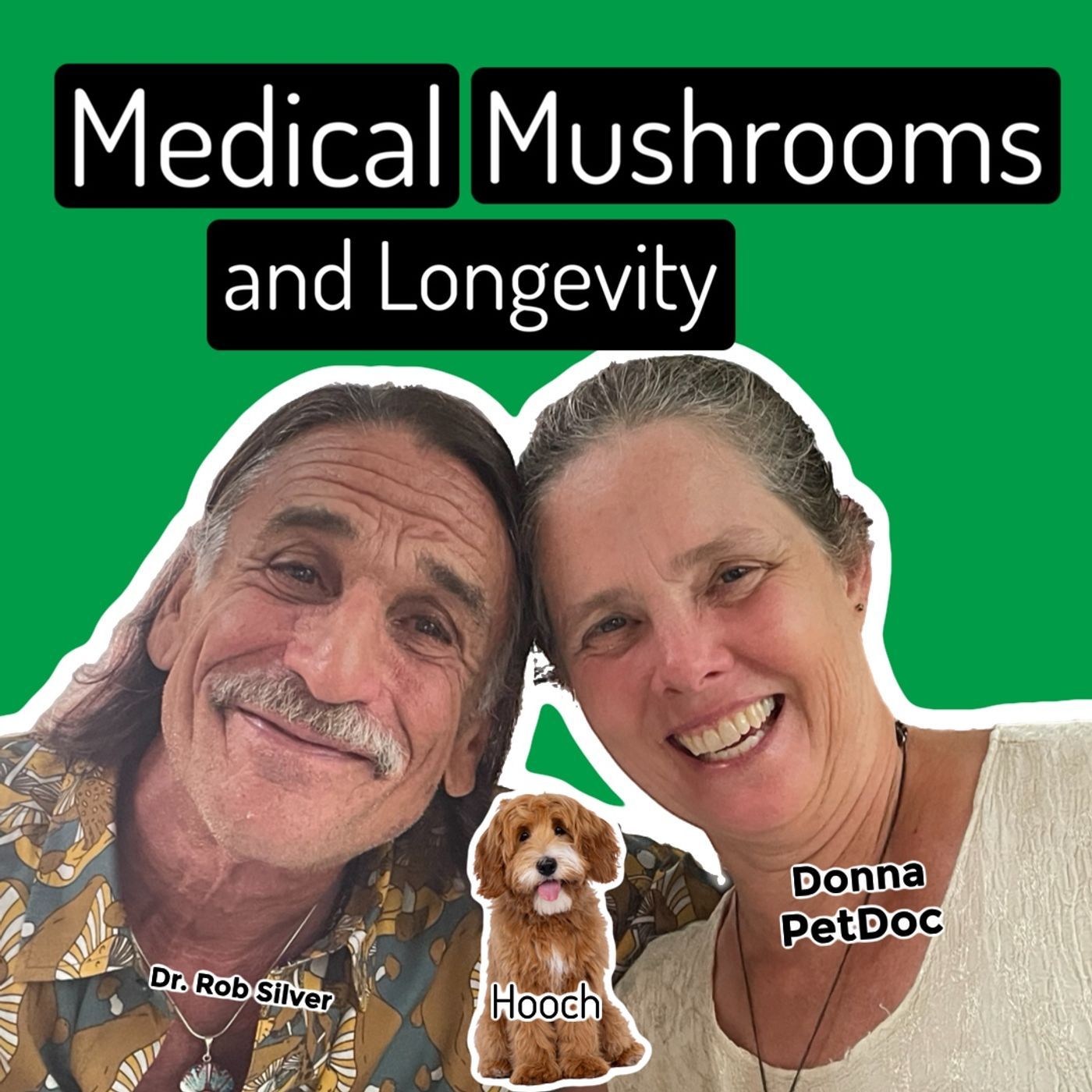 Mushrooms: An essential part of Integrative Veterinary Medicine episode artwork