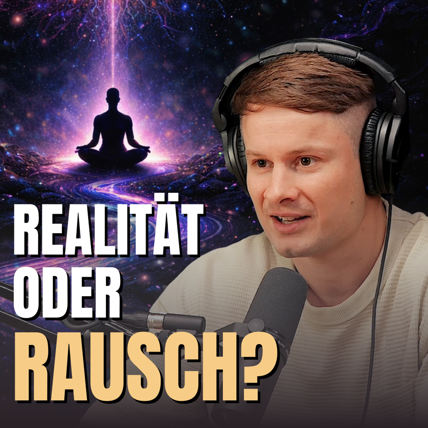 Was ist wirklich real? Zwischen Mystik, Bewusstsein und Psychedelika | Philemon Schibli | #20 episode artwork