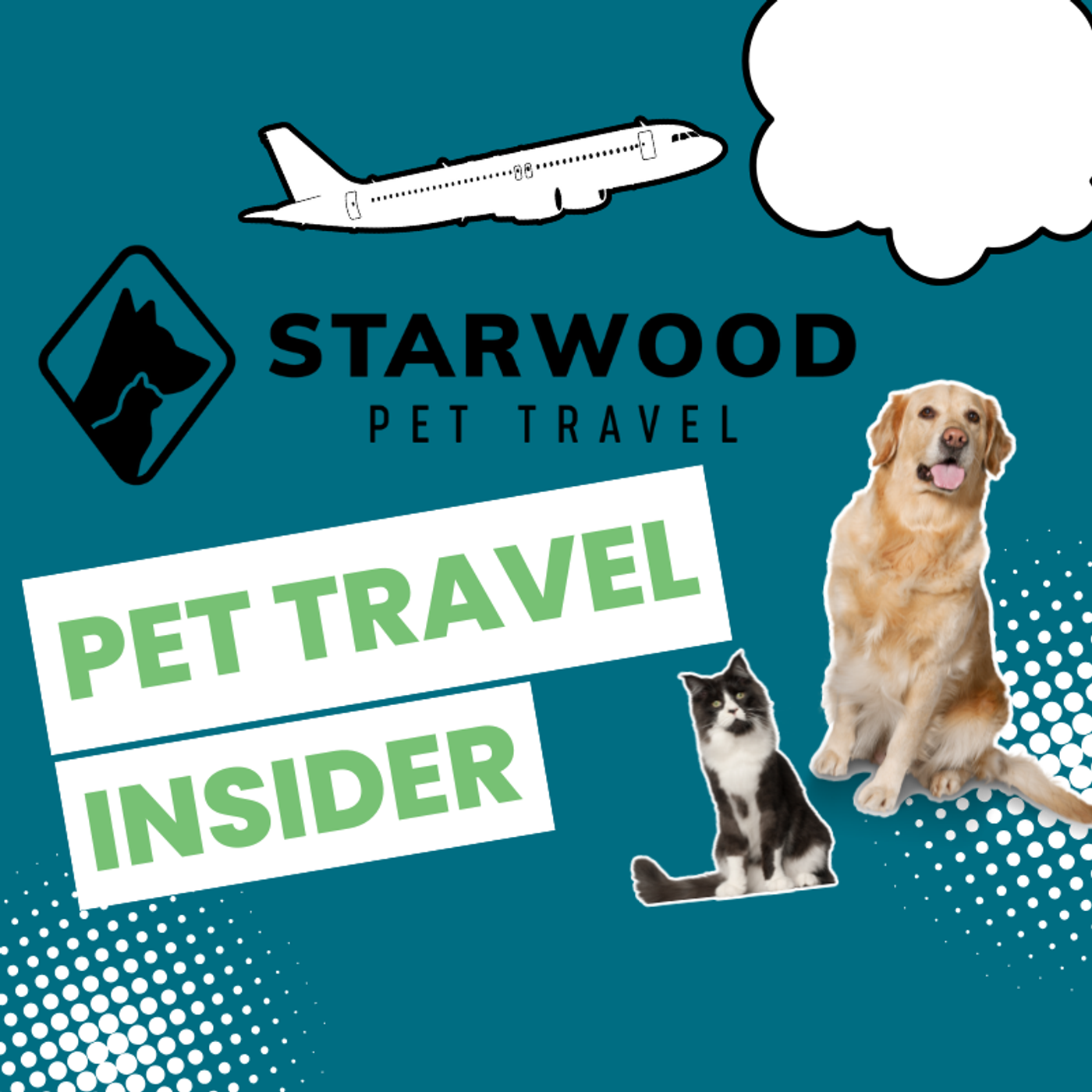 Pet Travel Insider podcast artwork