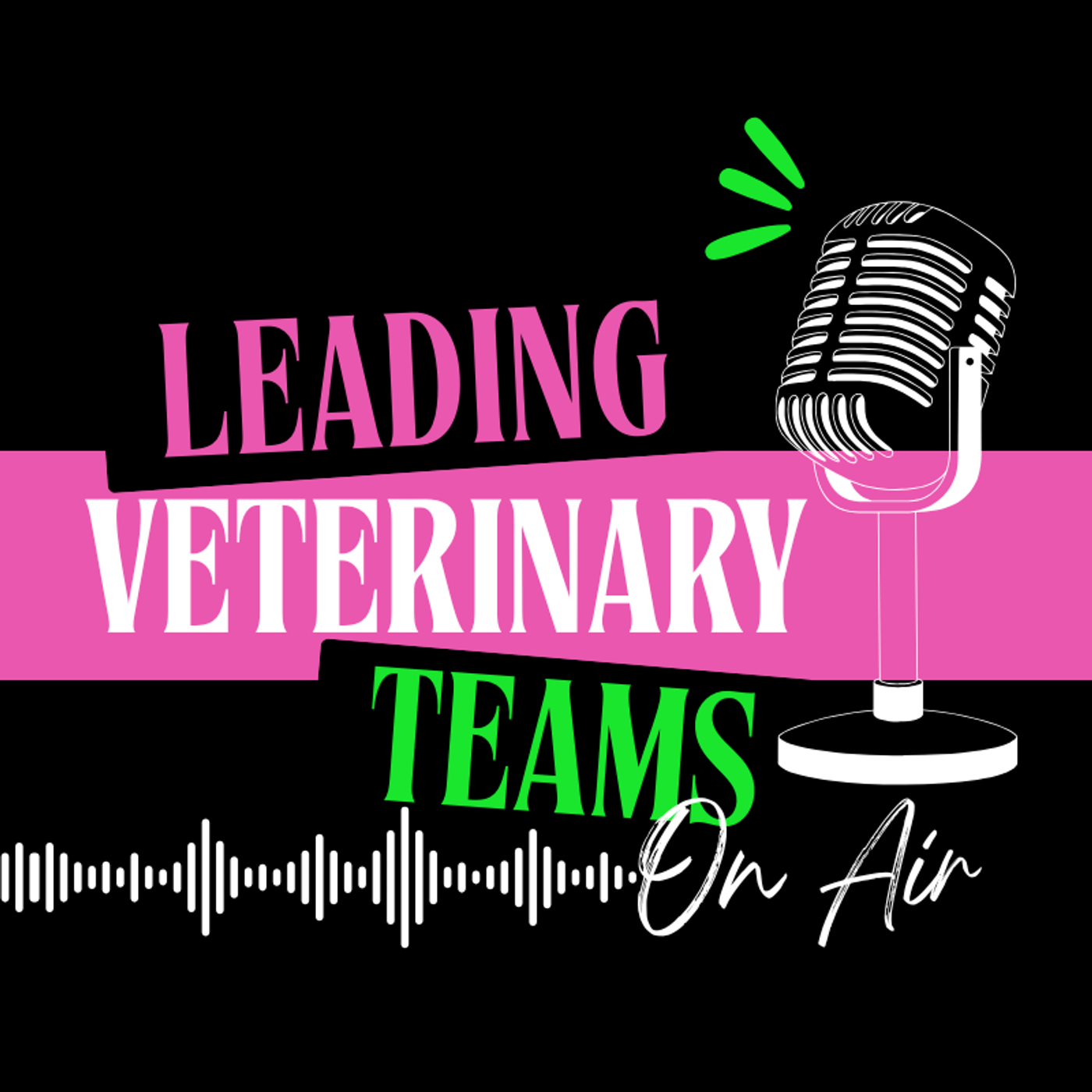 Leading Veterinary Teams On Air