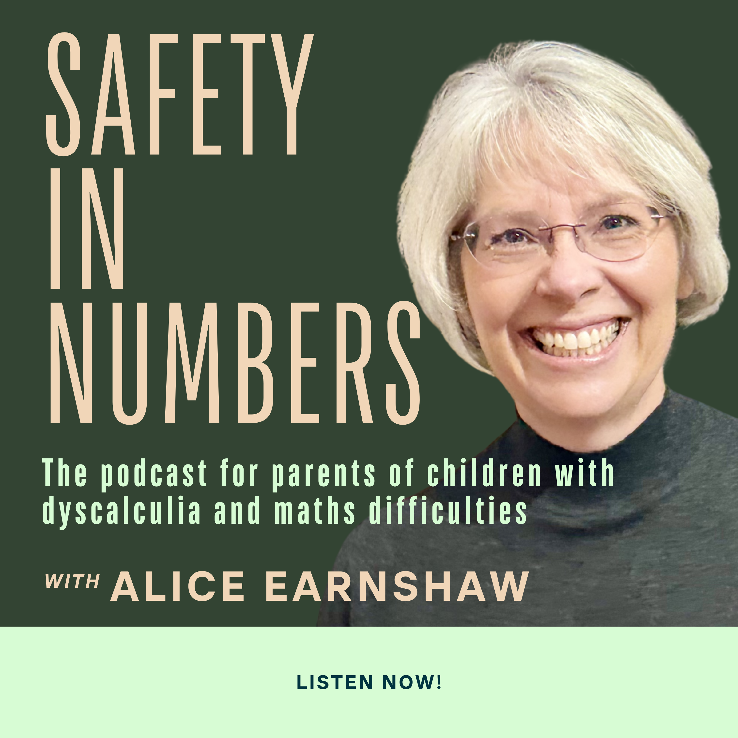 Safety in Numbers: For Parents of Children with Maths Difficulties