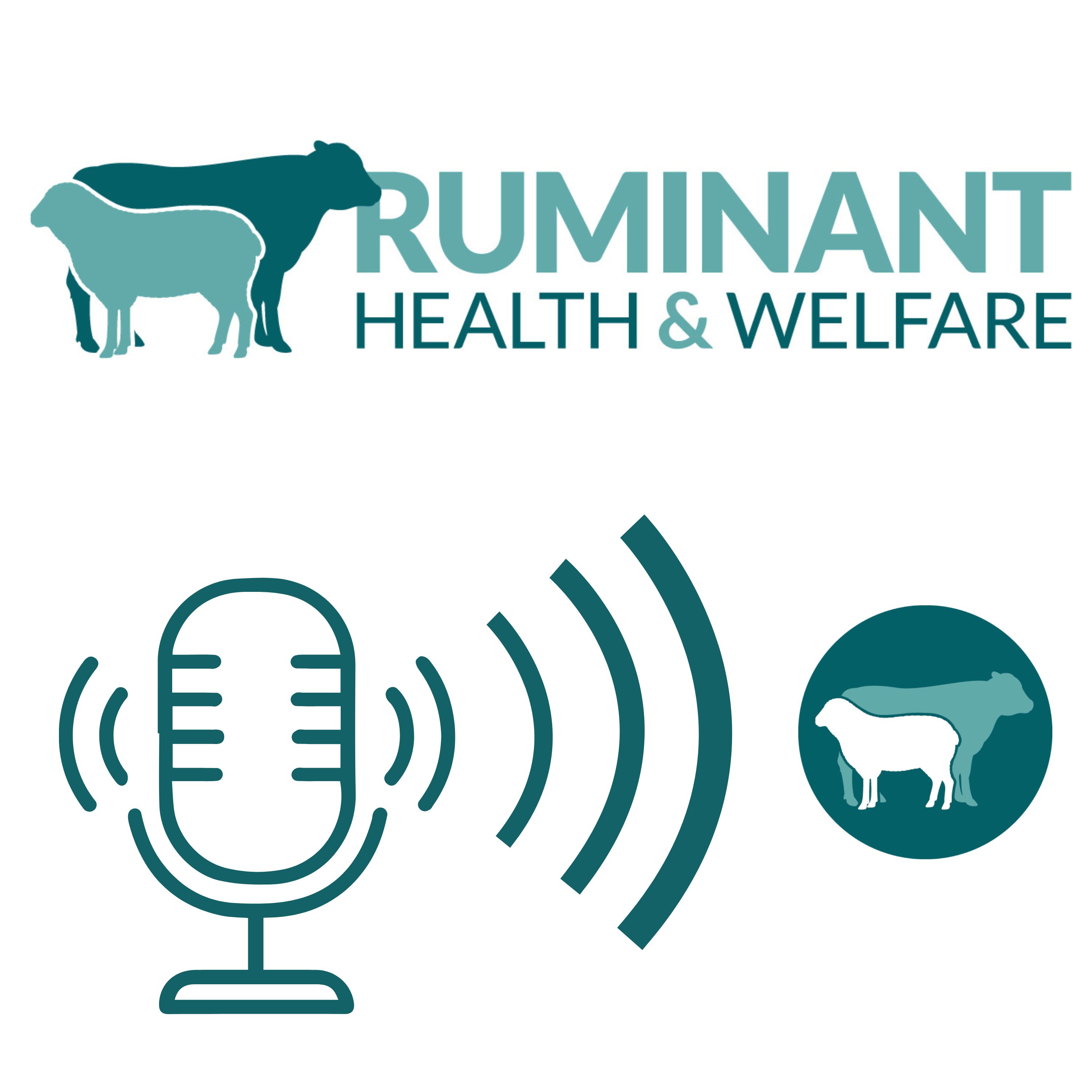 Ruminant Health & Welfare