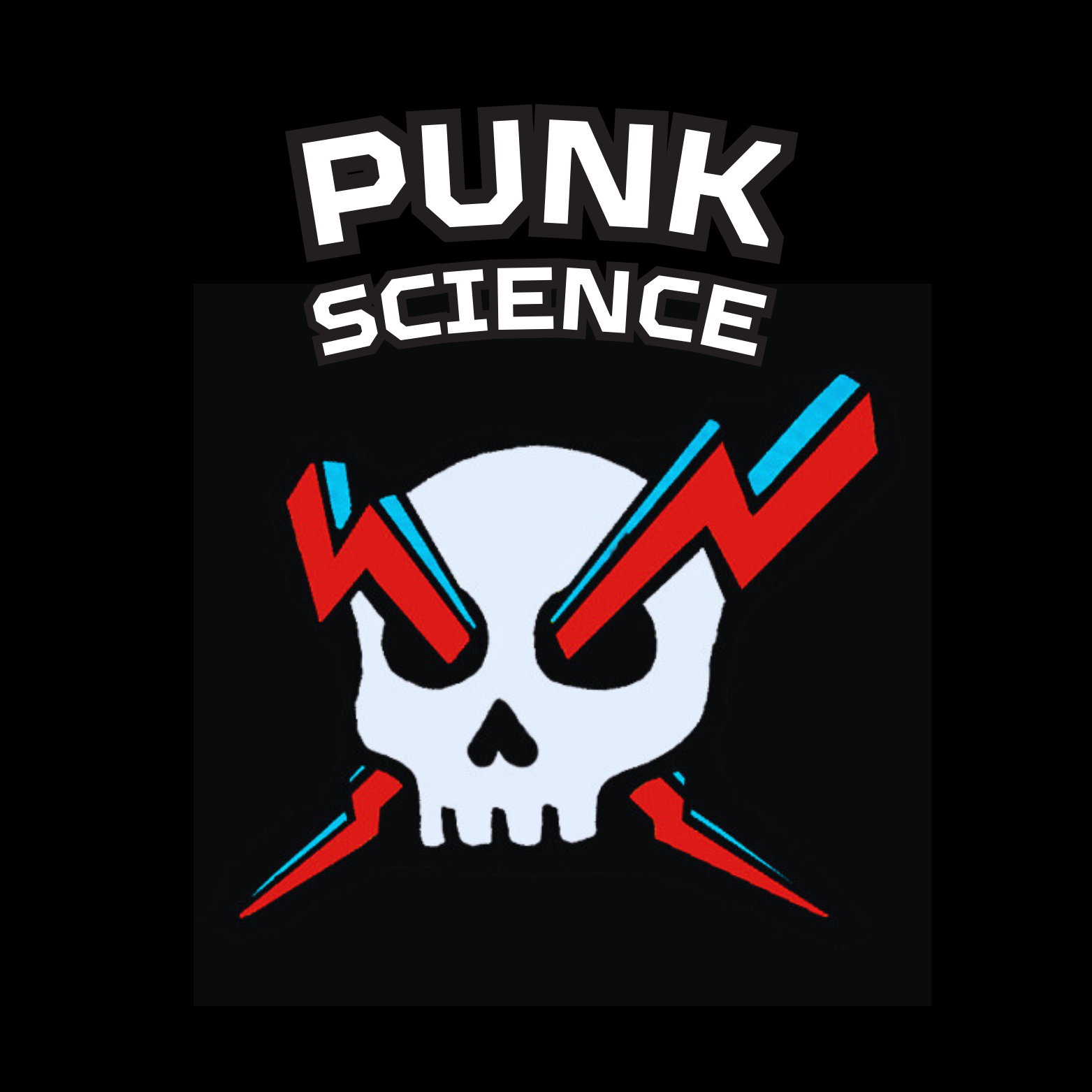Punk Science