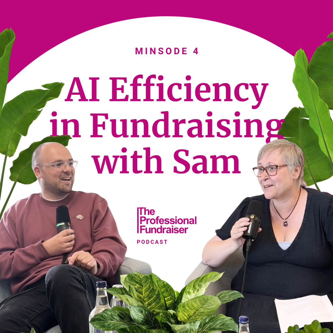 4.5. AI Efficiency in Fundraising episode artwork