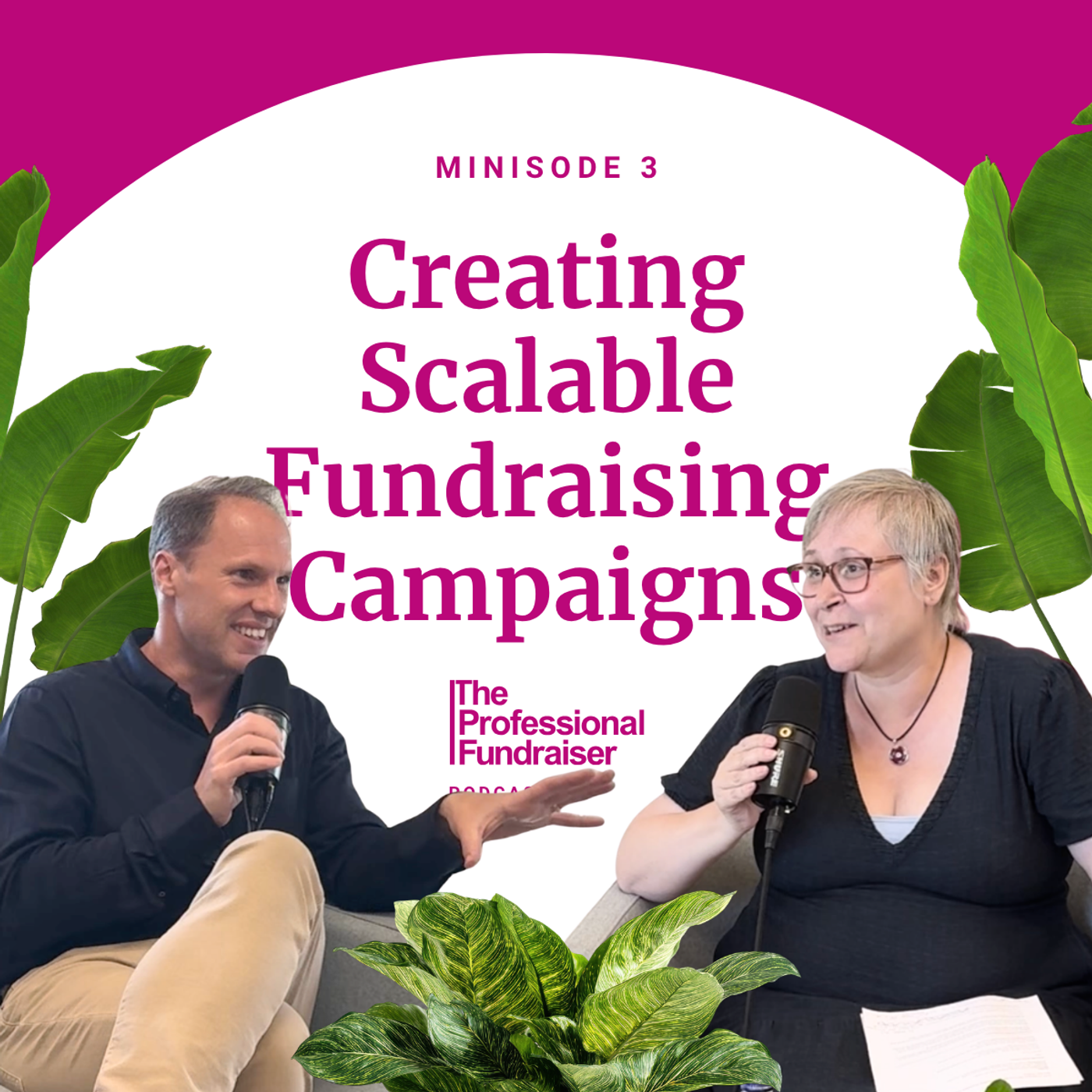 3.5 Creating Scalable Fundraising Campaigns episode artwork