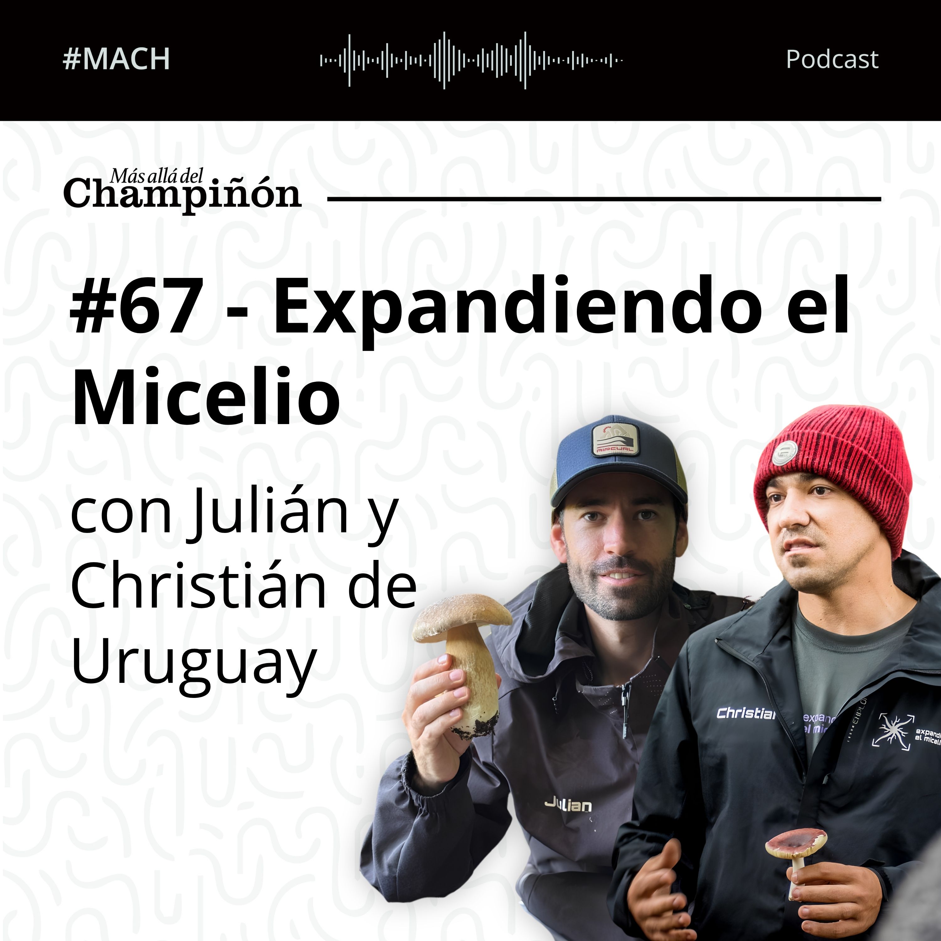 #67 - Expandiendo el Micelio - con Julián y Christián de Uruguay. episode artwork