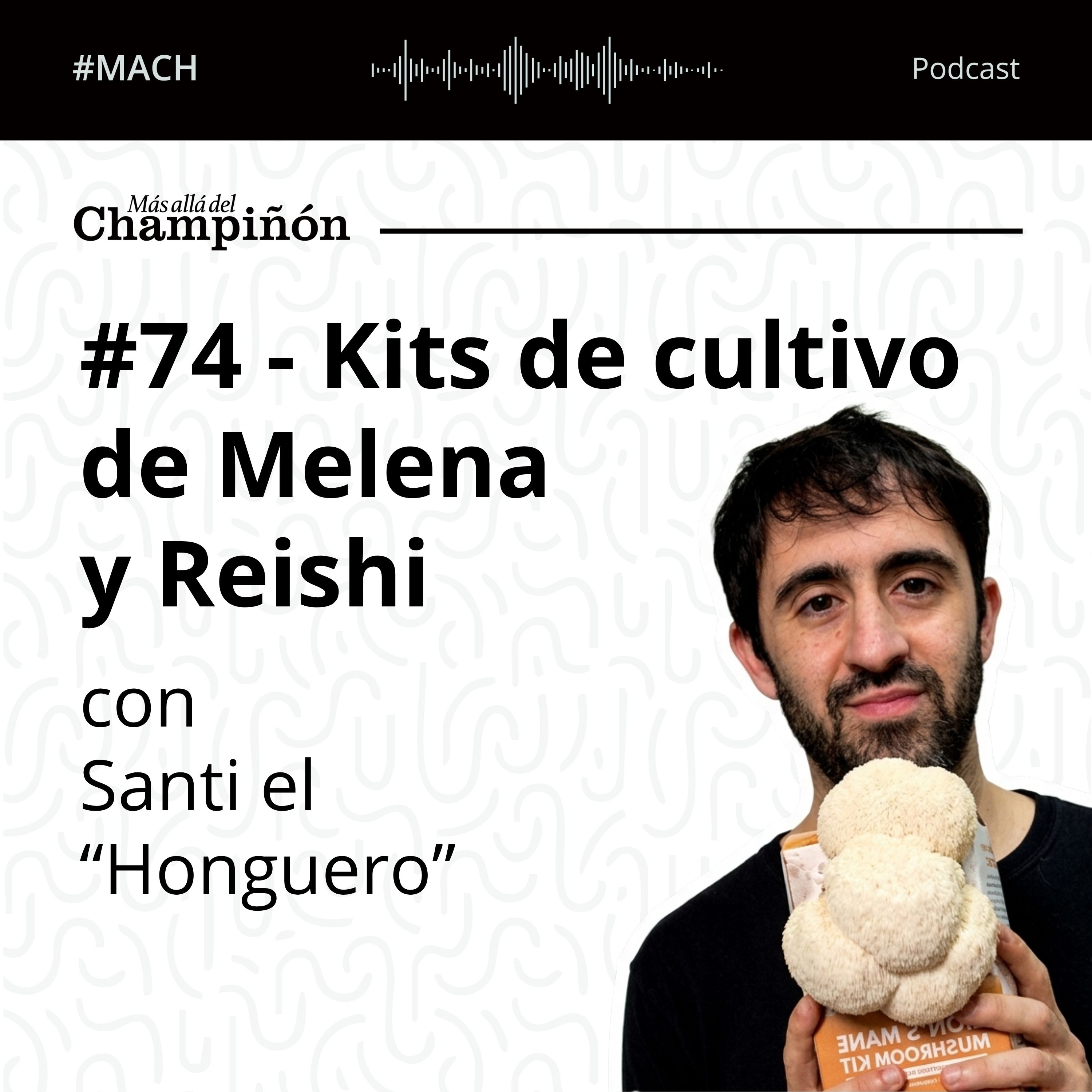 Más allá del Champiñón Podcast