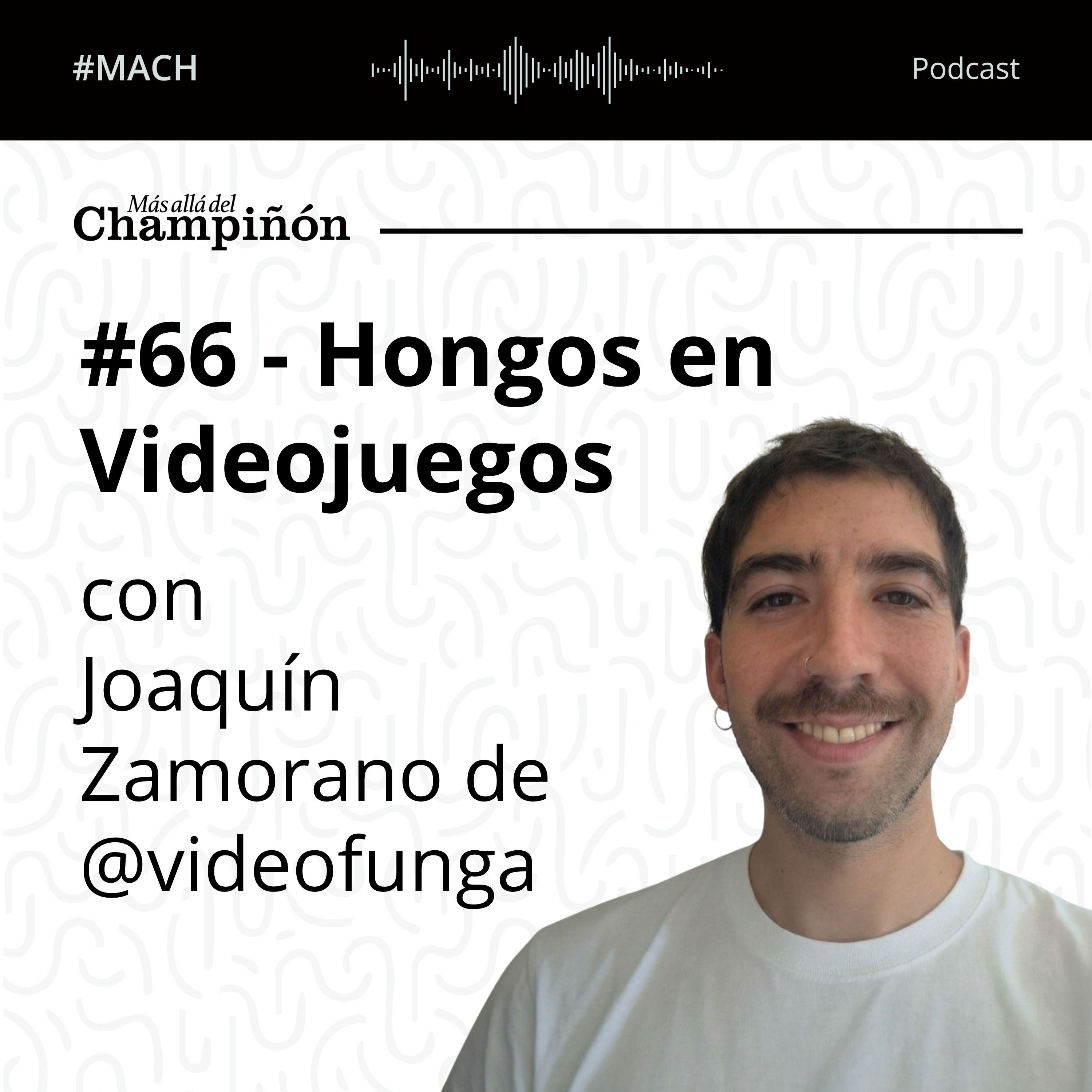 #66 - Hongos en Videojuegos - con Joaquín Zamorano de Videofunga. episode artwork