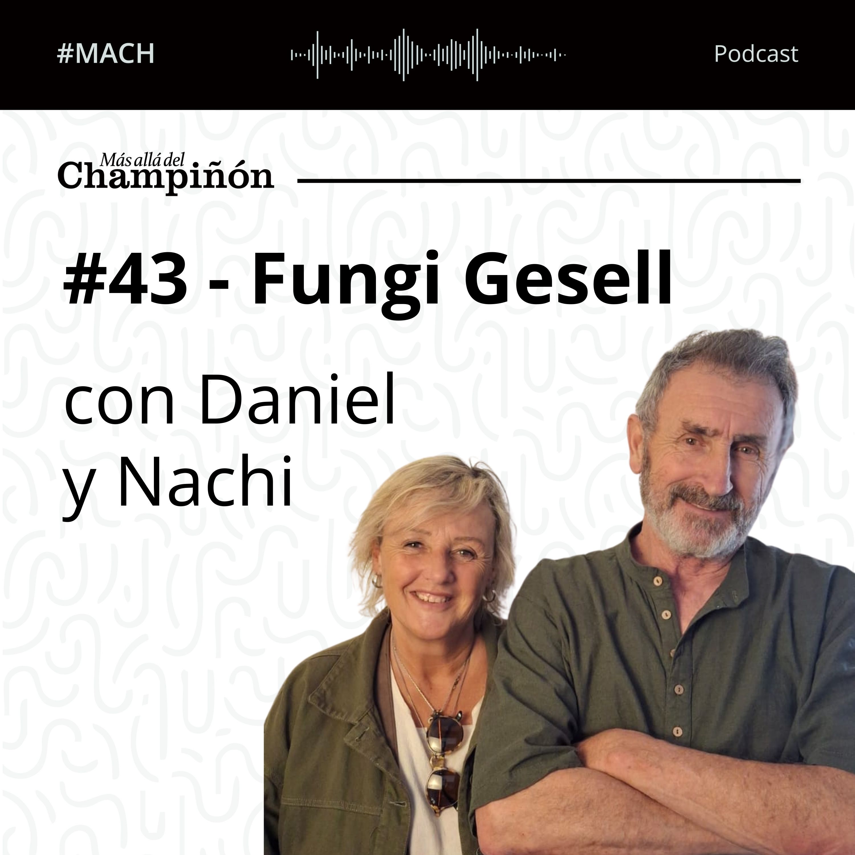 Portada de Más allá del Champiñón Podcast
