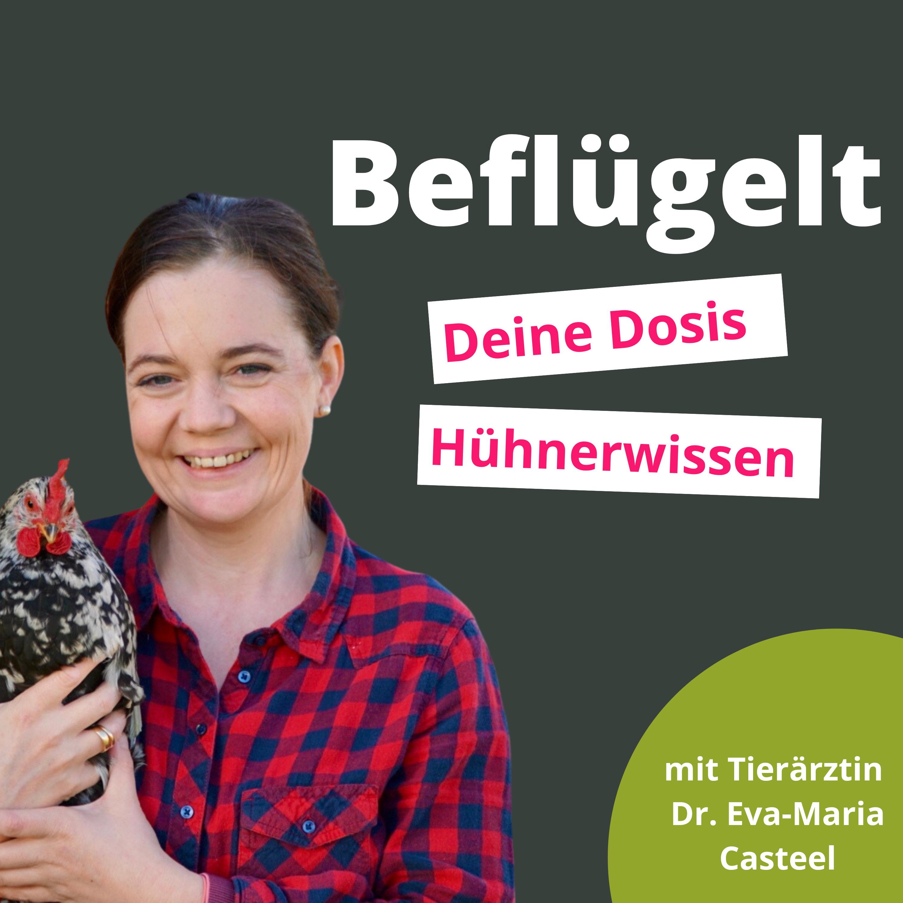 Beflügelt - Deine Dosis Hühnerwissen