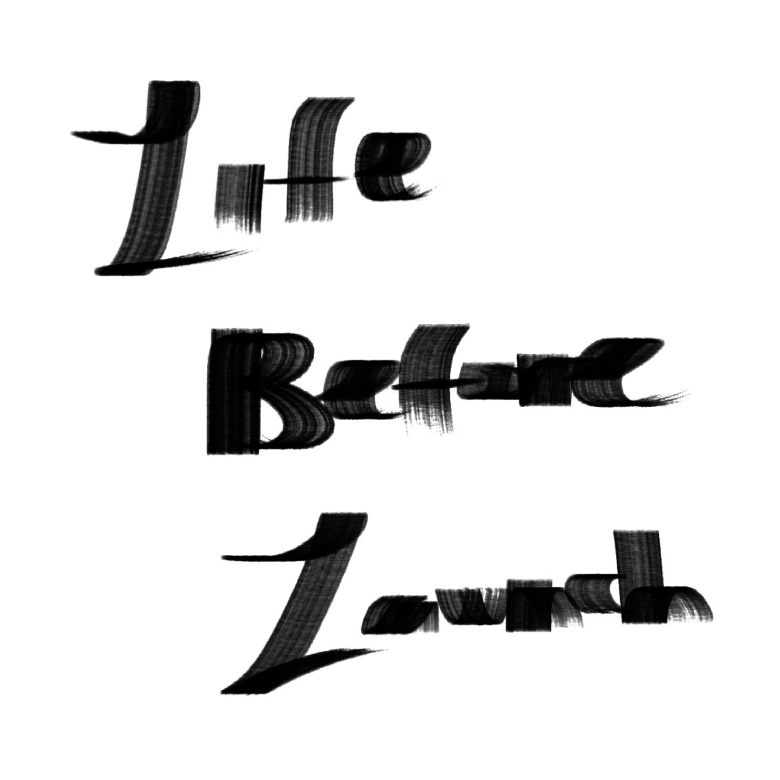 Life Before Launch