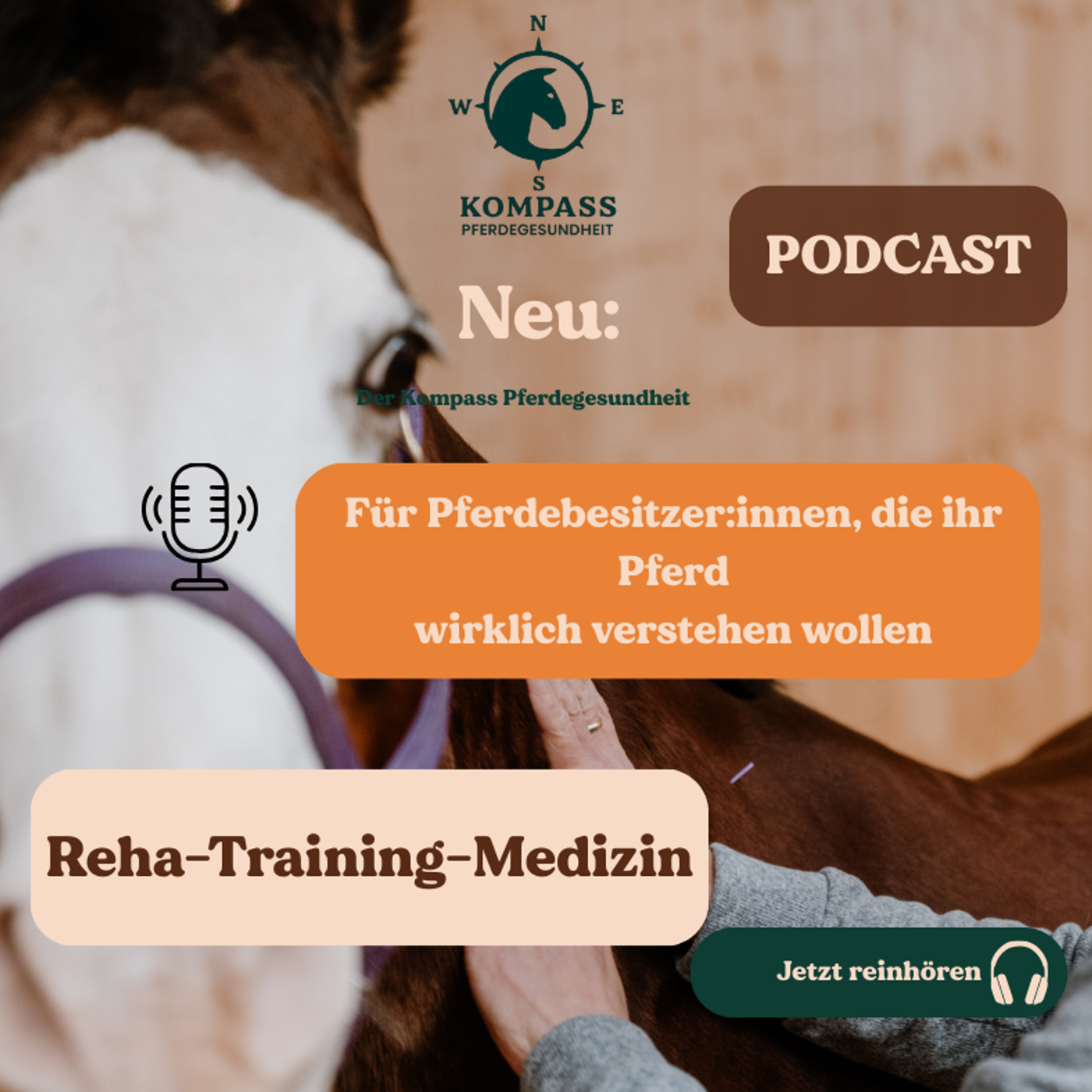 Kompass Pferdegesundheit podcast artwork