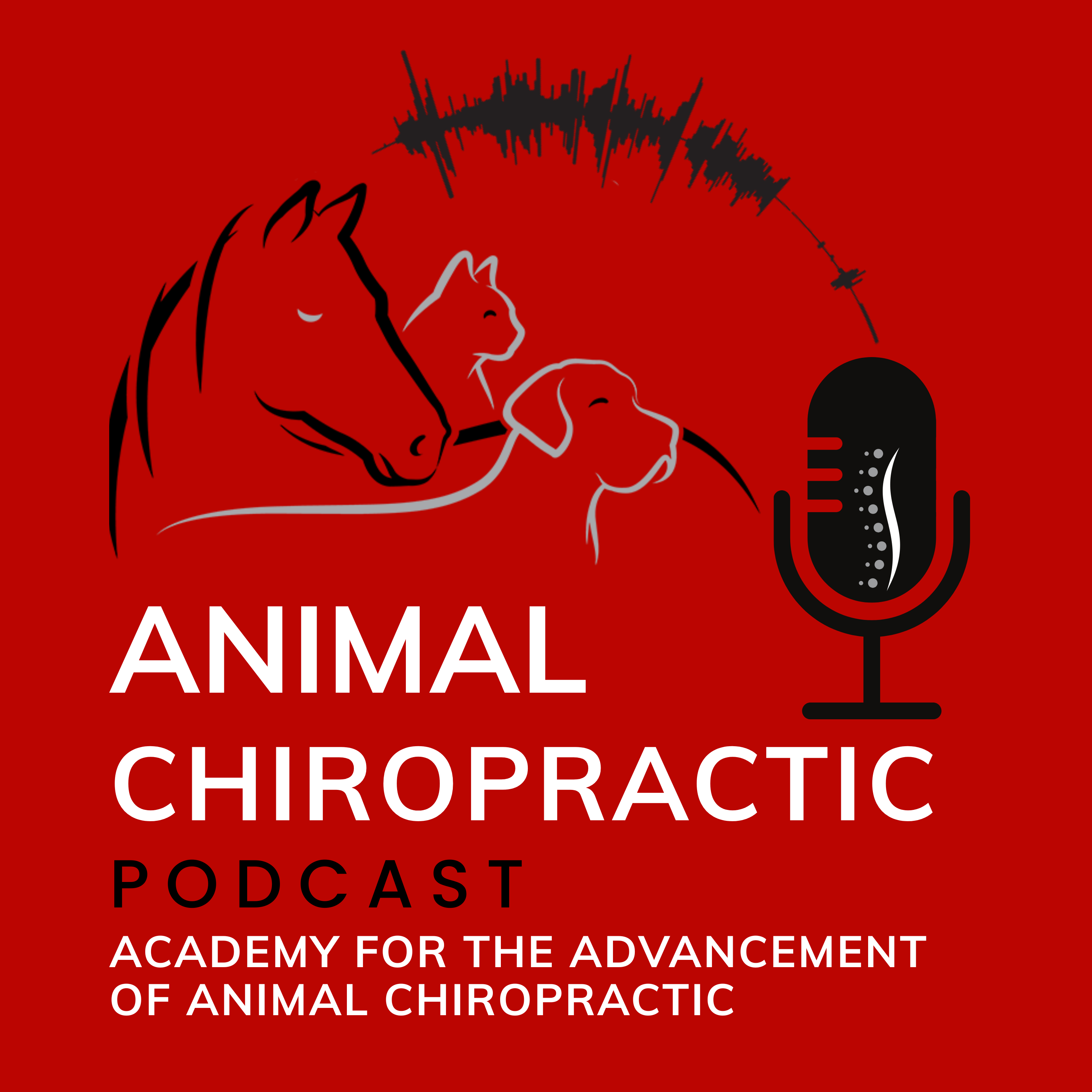 The Animal Chiropractic Podcast