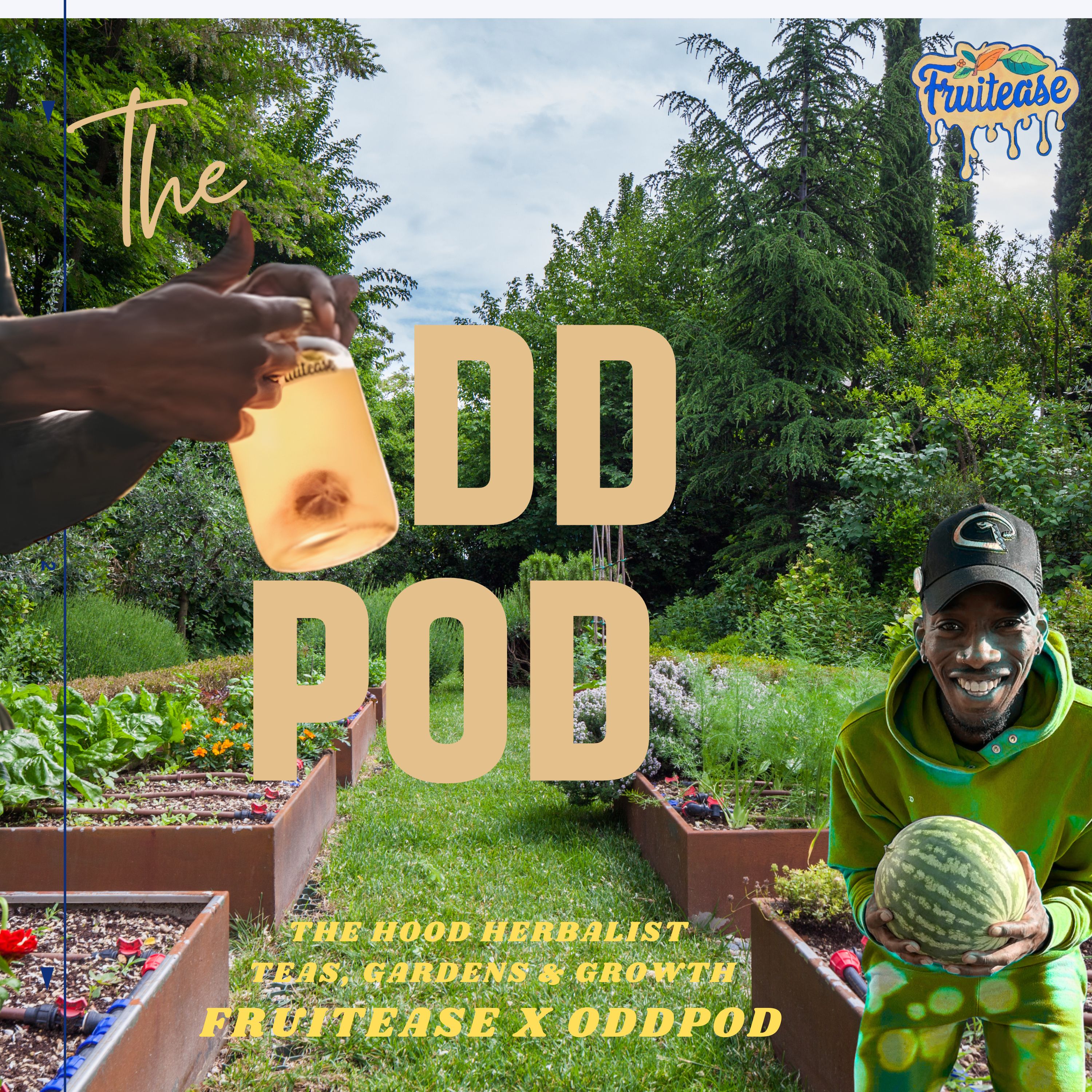 The Hood Herbalist: Teas, Gardens & Growth | Fruitease x OddPod episode artwork