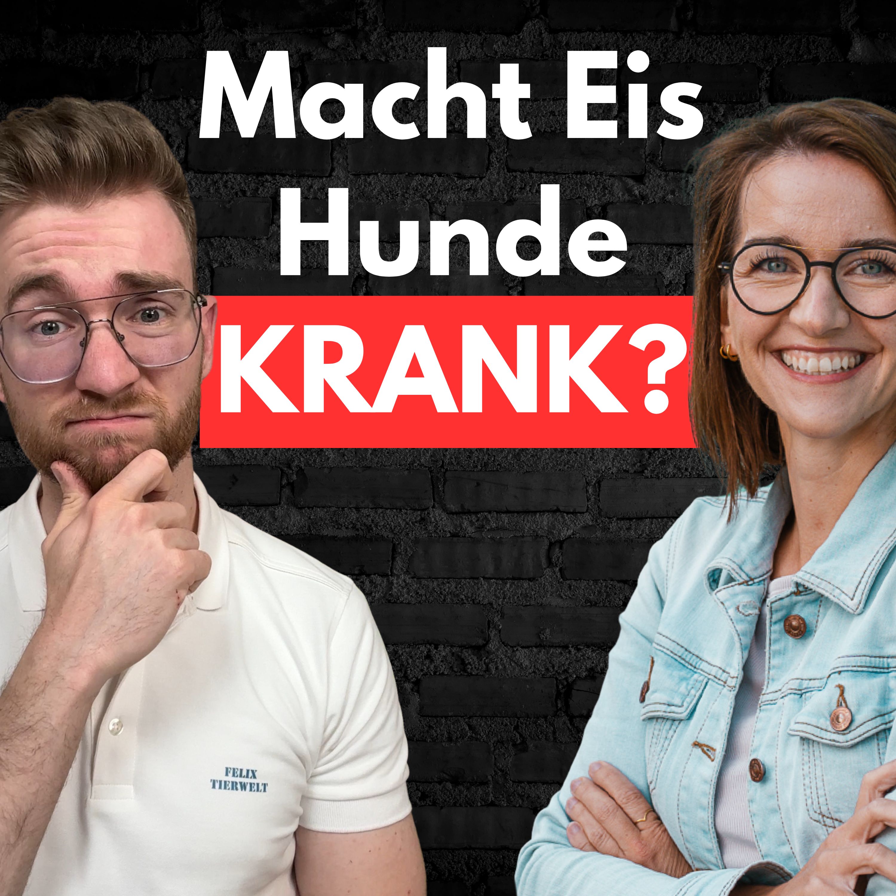 #28 Hundeeis = Gut für Hunde oder gefährlich?! episode artwork