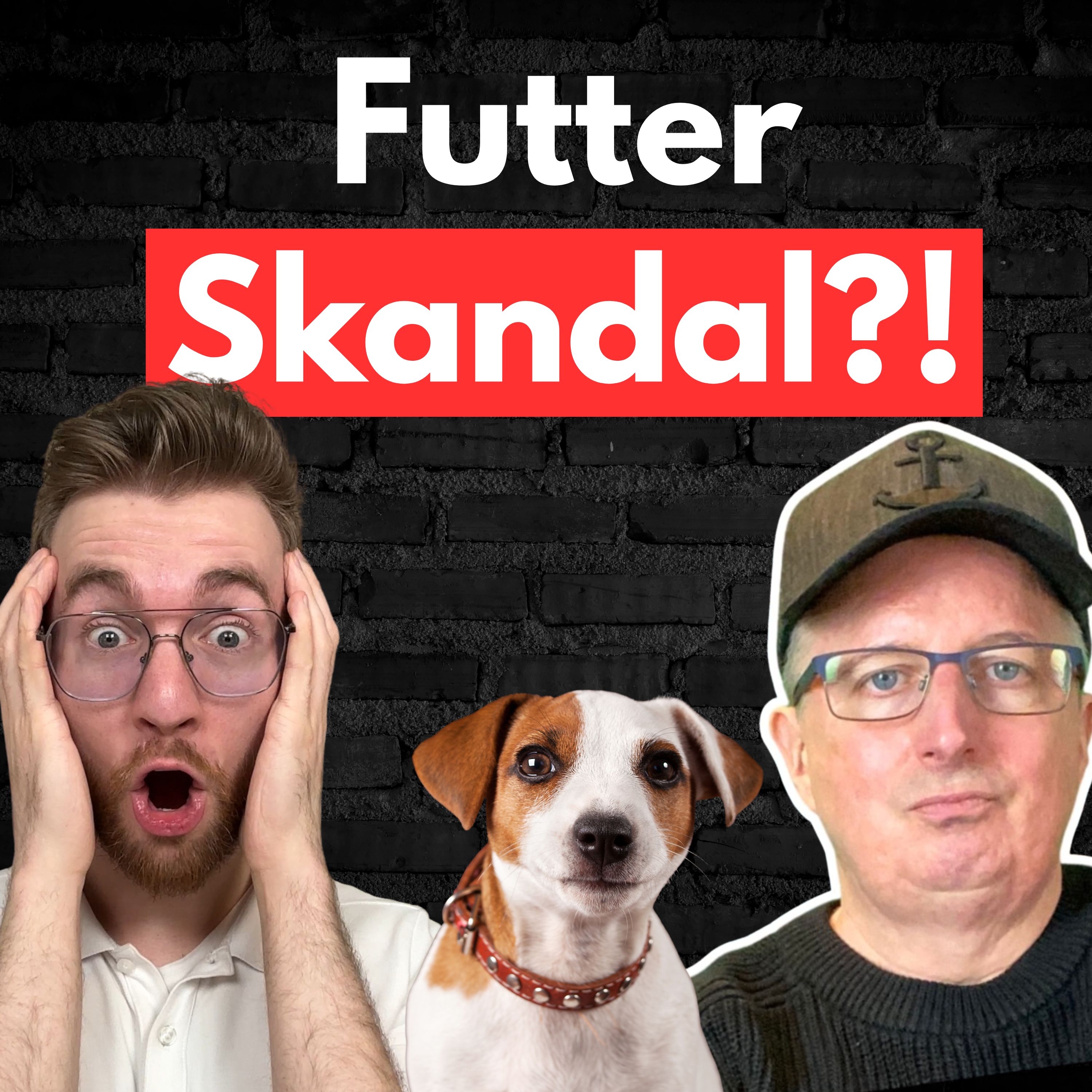 #31 Die dunkle Wahrheit über Hundefutter! episode artwork