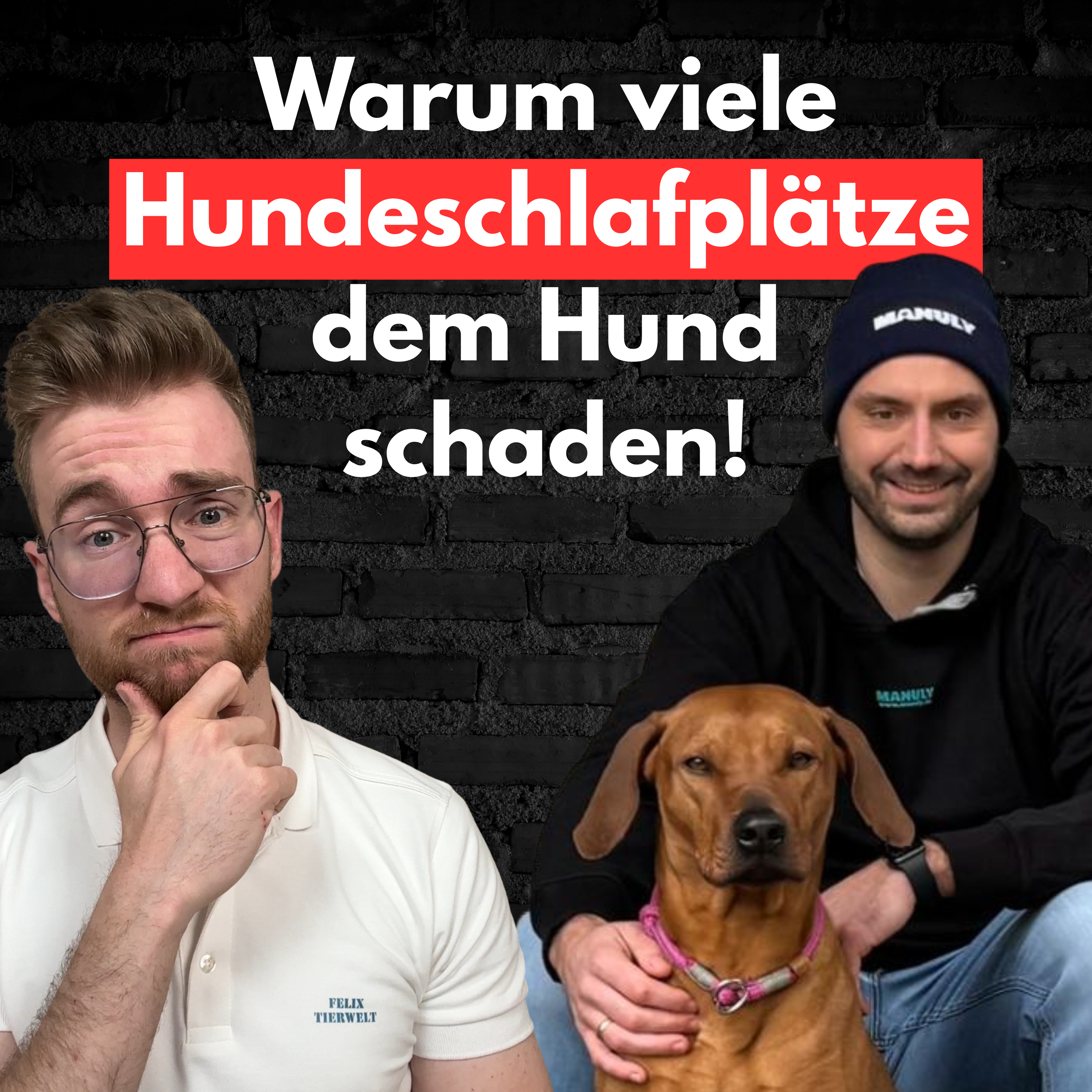 #45 Warum viele Hundeplätze dem Hund schaden und was besser geht! episode artwork