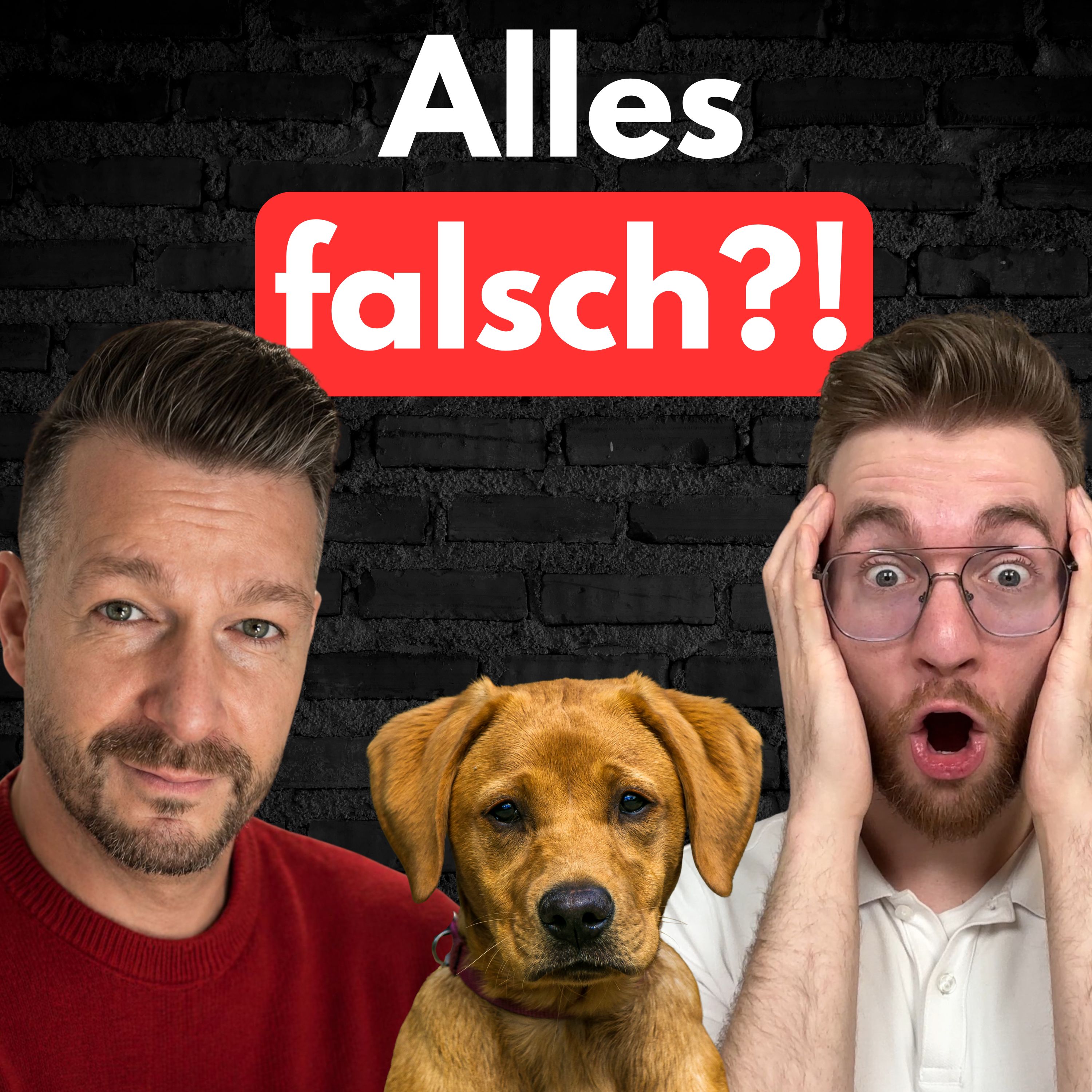 #37 Die größten Lügen über Hundeernährung! episode artwork