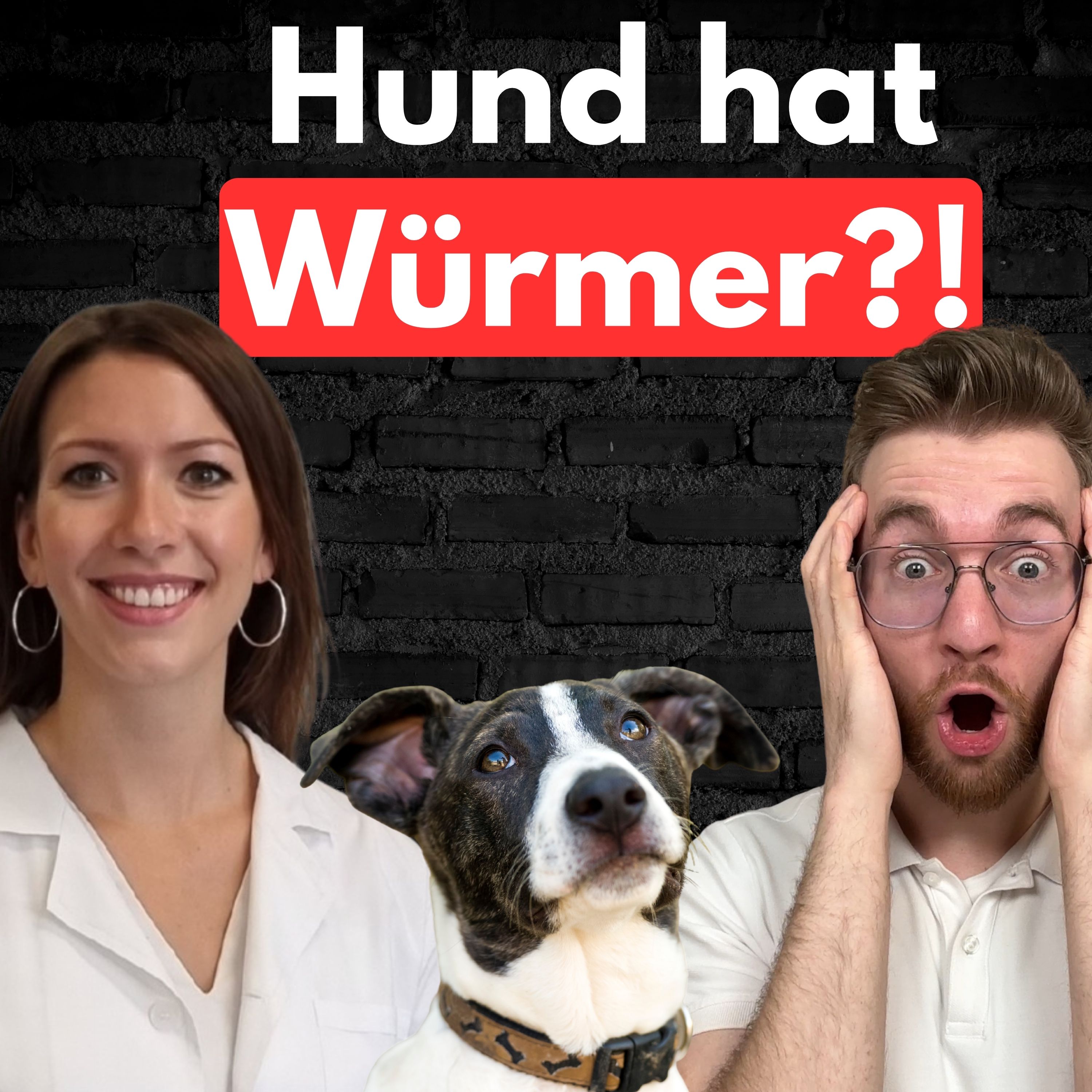 #44 Würmer beim Hund: Was fast jeder falsch macht! episode artwork
