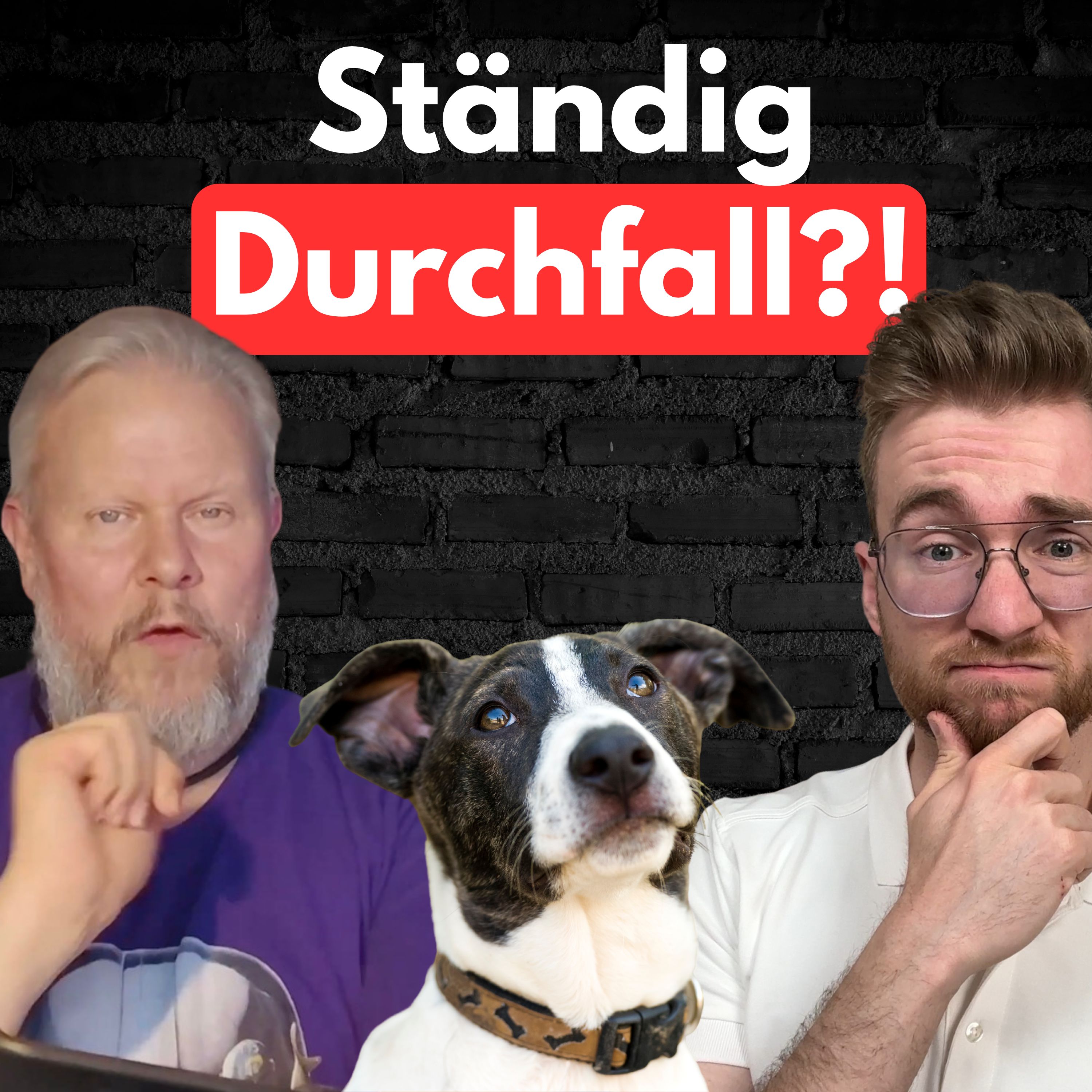#25 Warum so viele Hunde Magen Darm Probleme haben! episode artwork