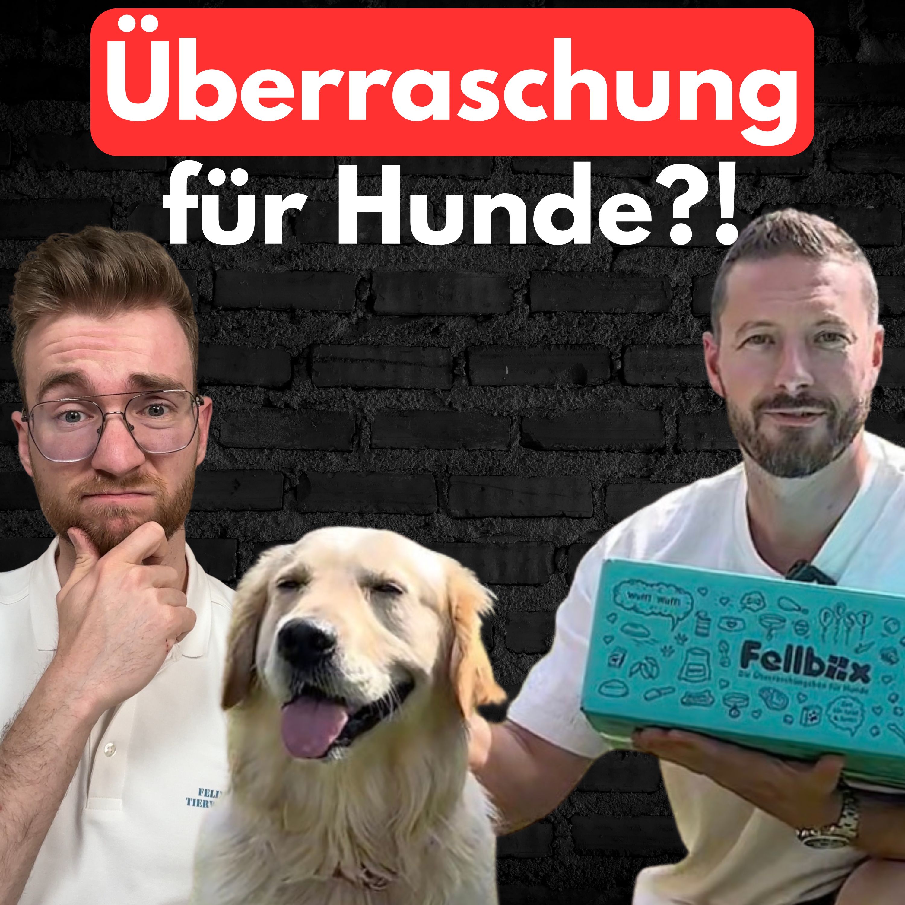 #30 Ist für Hunde diese Überraschungsbox sinnvoll? episode artwork