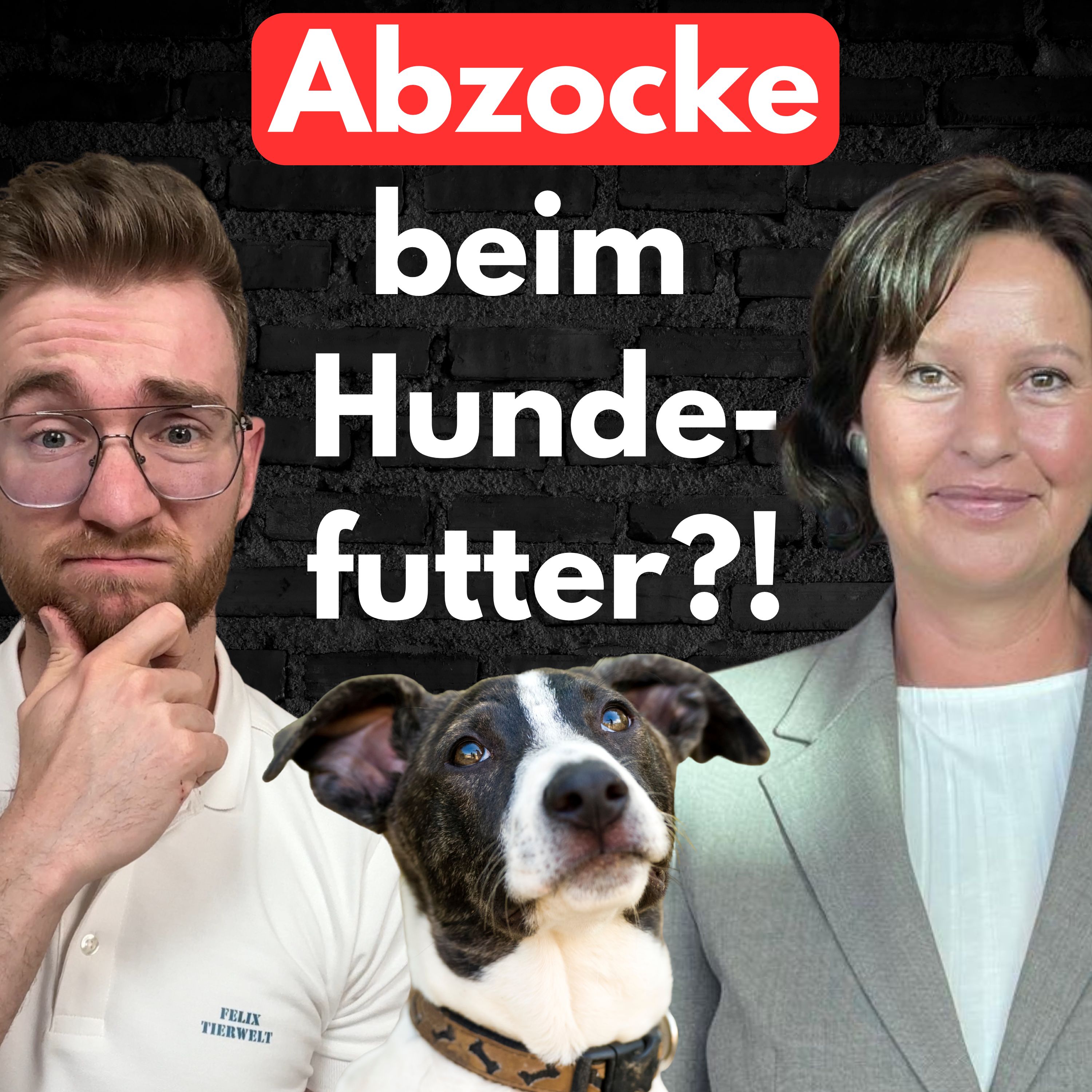 #36 Teures Hundefutter und billiger Inhalt?! episode artwork