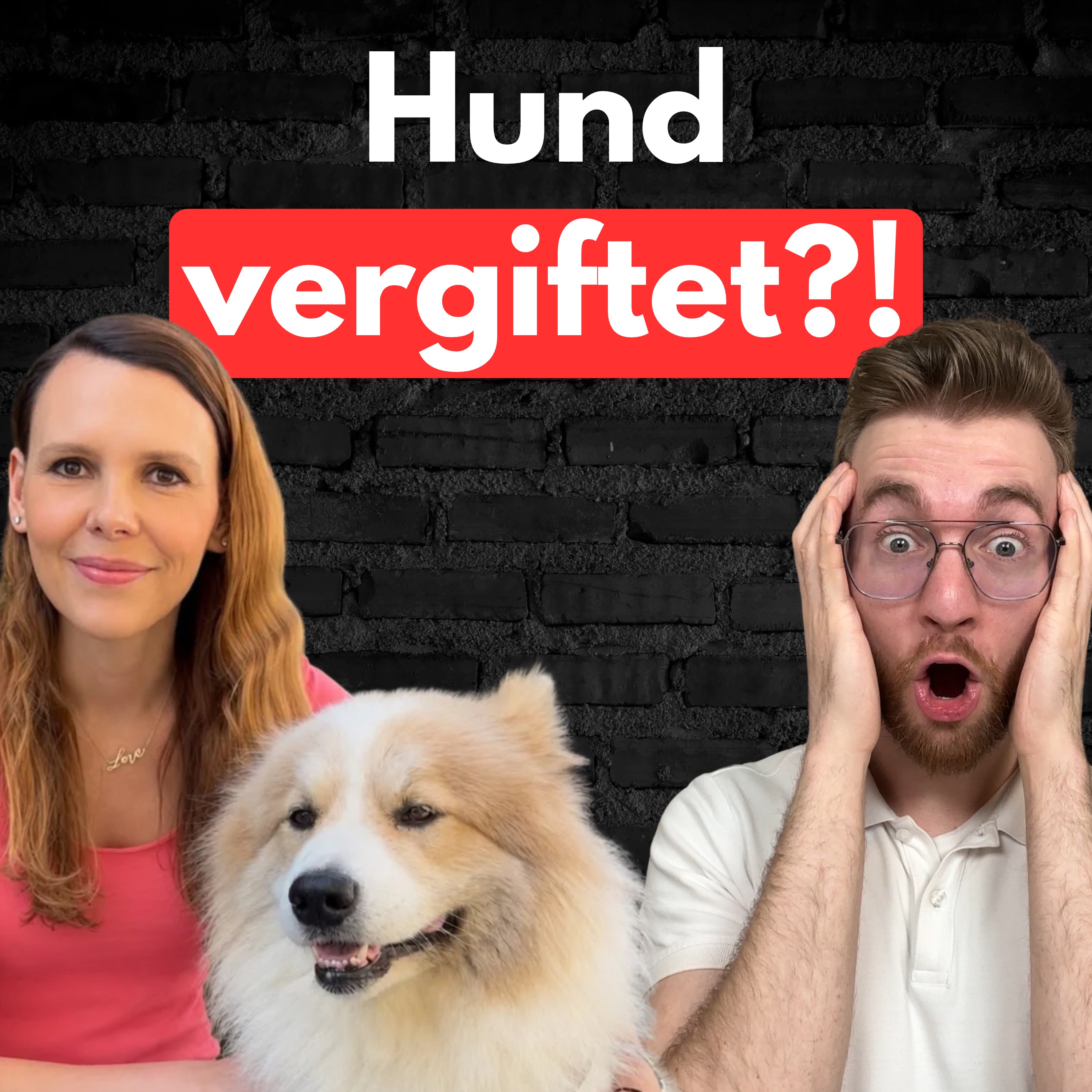 #46 Vergiftung beim Hund: Was fast jeder falsch macht! episode artwork