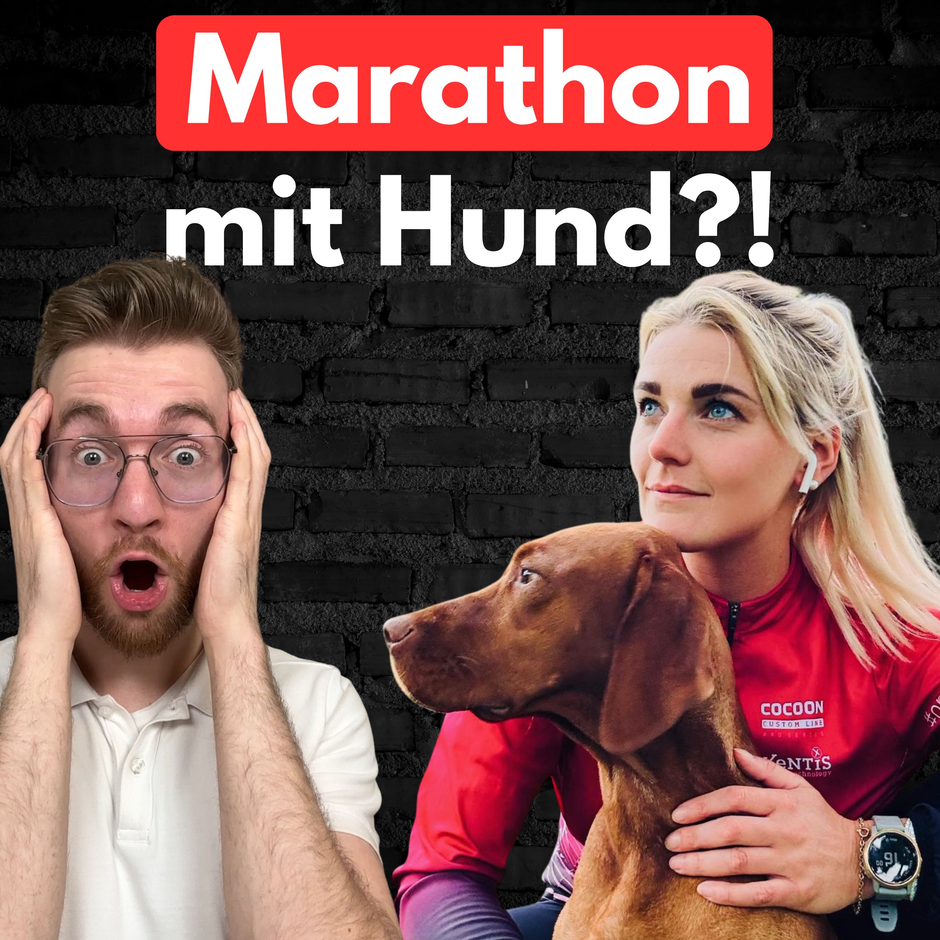 #27 Marathon mit Hund? Gesund oder gefährlich?! episode artwork