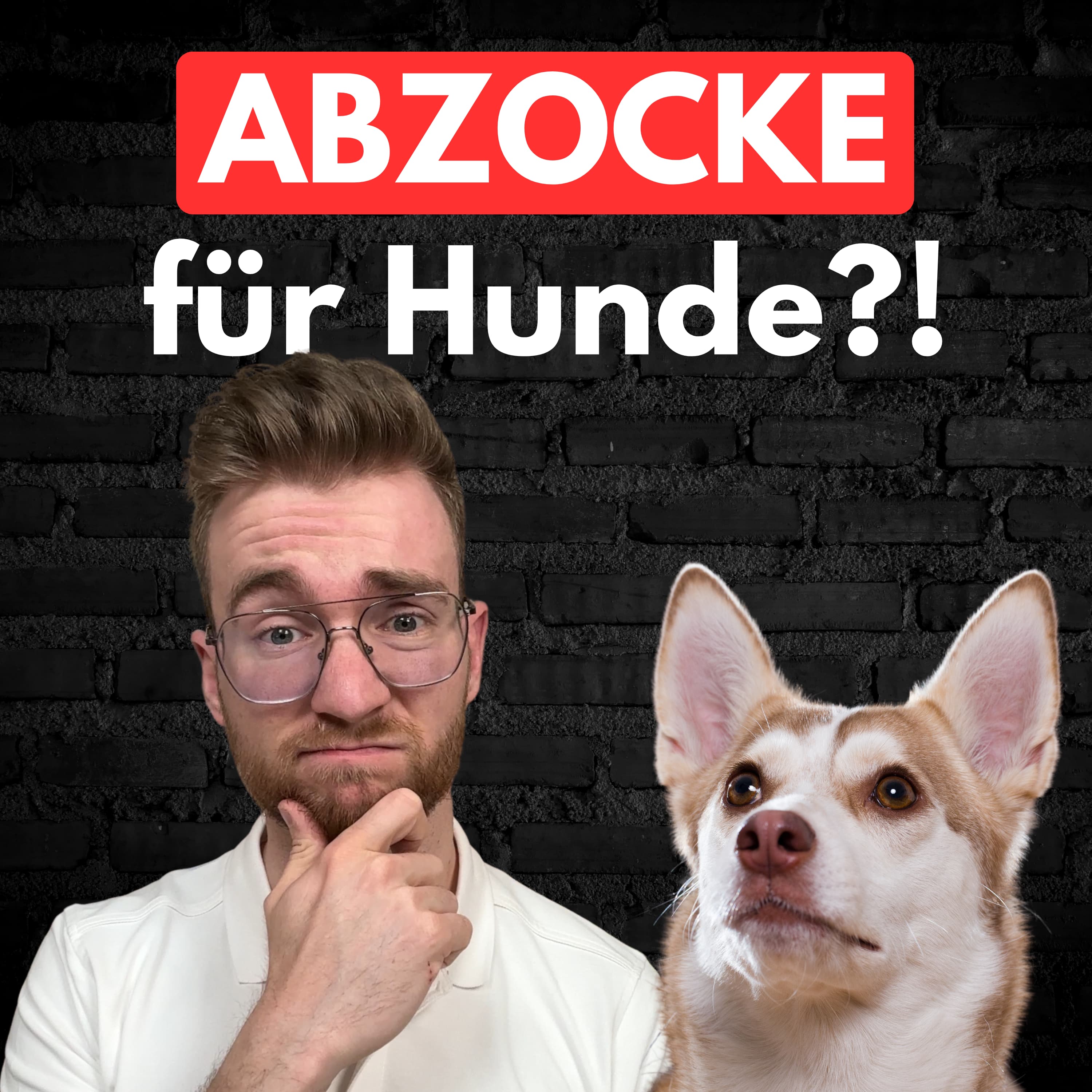 #47 Warum Hundeeltern ständig verarscht werden! episode artwork