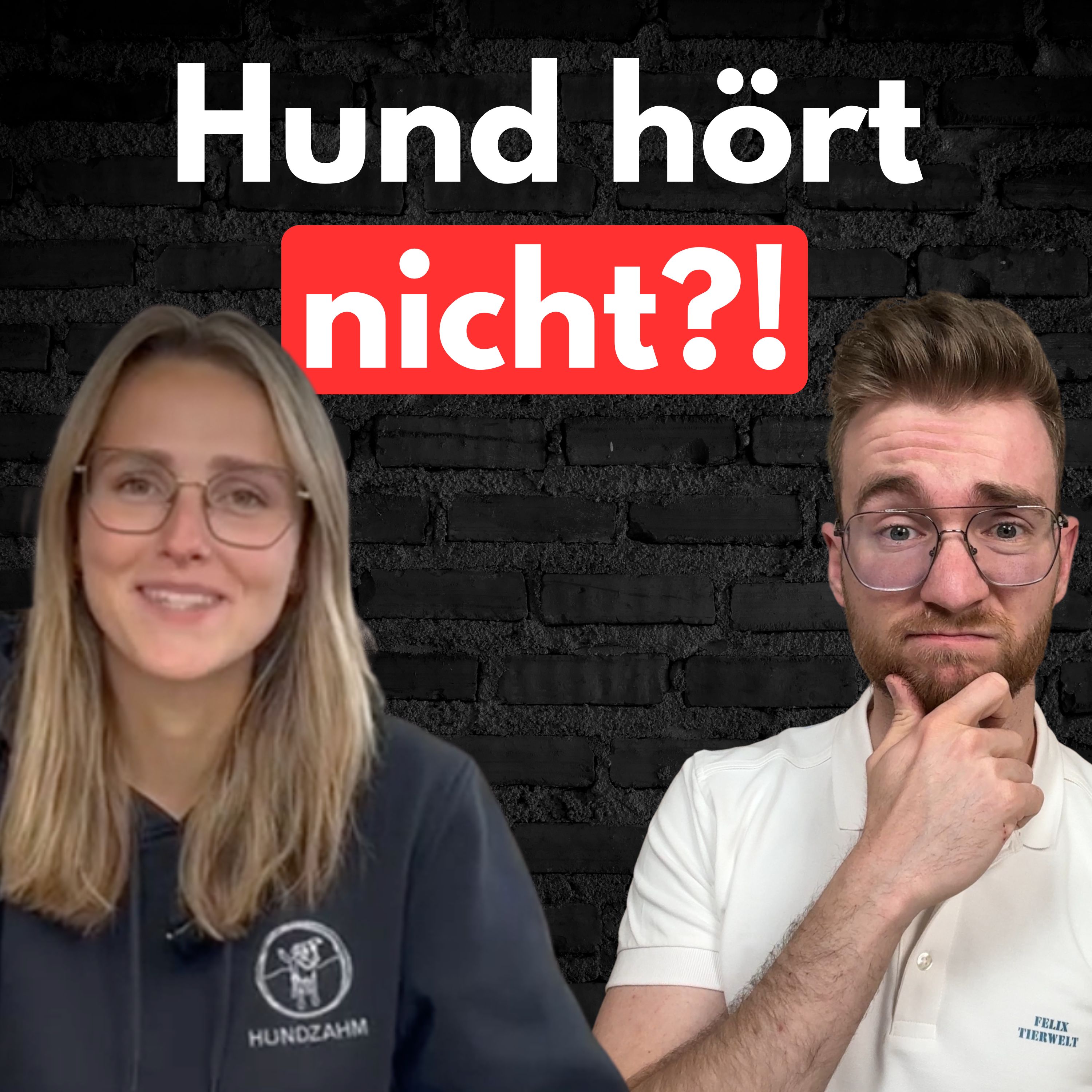 #34 Warum dein Hund an der Leine komplett eskaliert! episode artwork