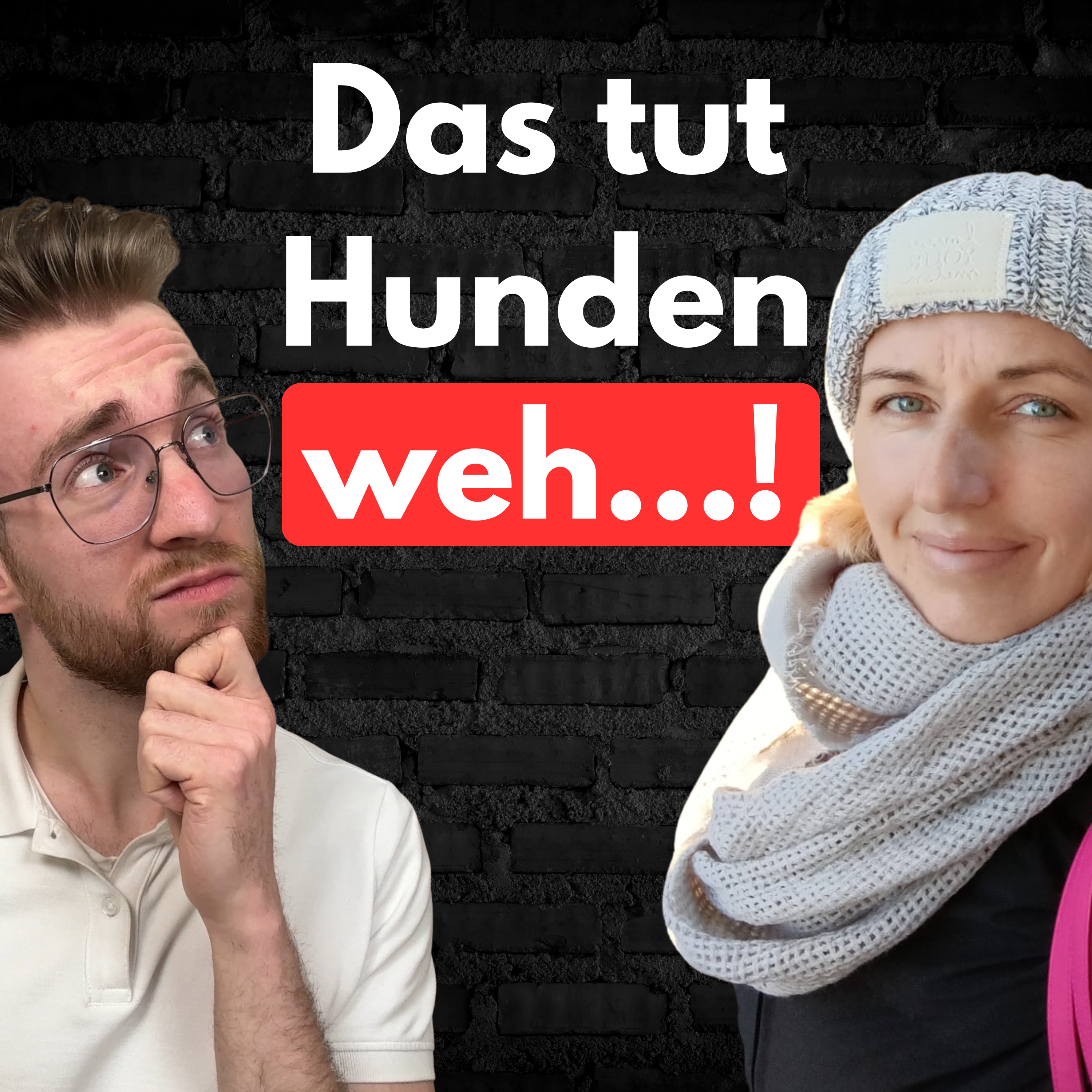 Felix Tierwelt