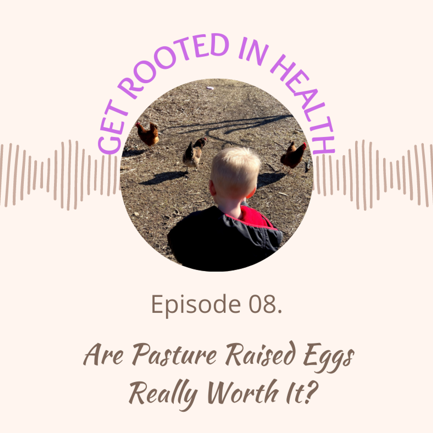 8.) Are Pasture Raised Eggs Really Worth It?/The Differences Between Each Kind/Where to Find Them episode artwork
